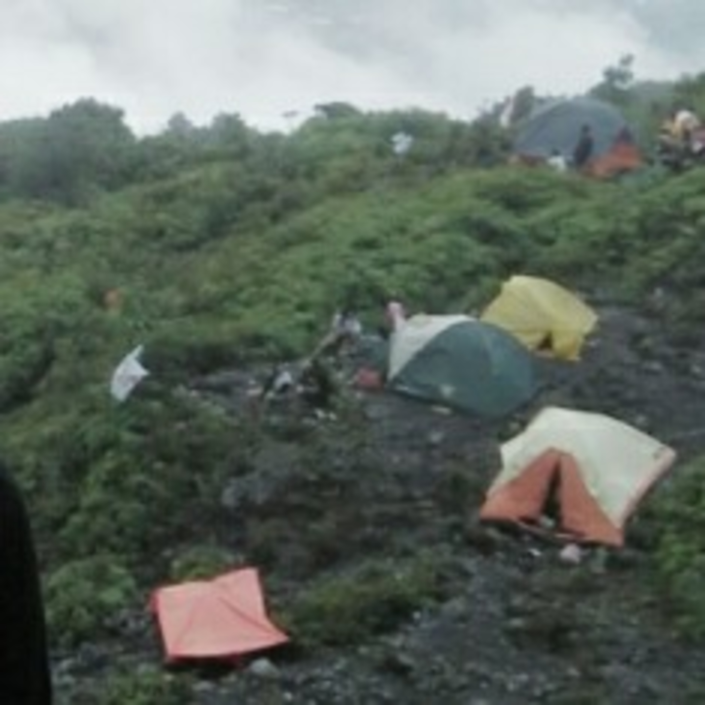 Jinggabukansenja
