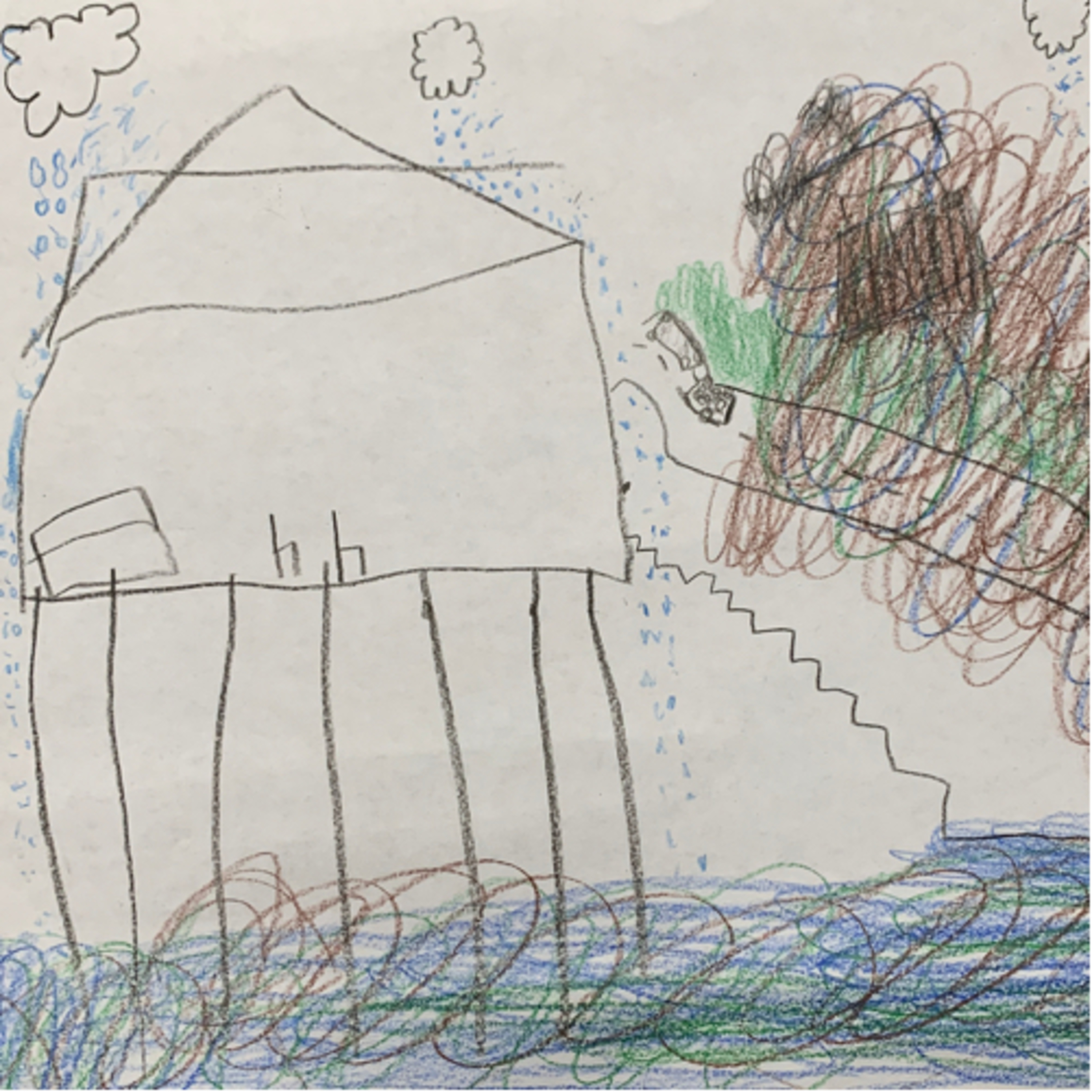 Hurricane Stories