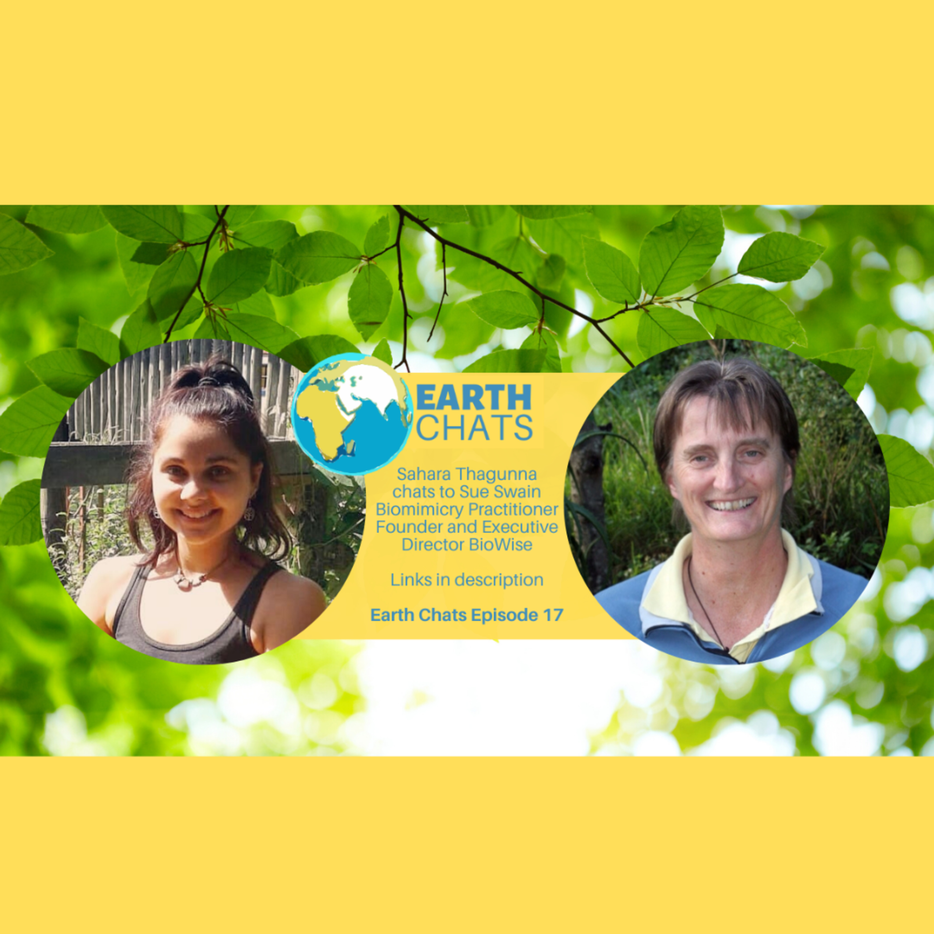 BIOWISE, a Social Enterprise Promoting the Practice of BIOMIMICRY, Learning from Nature!