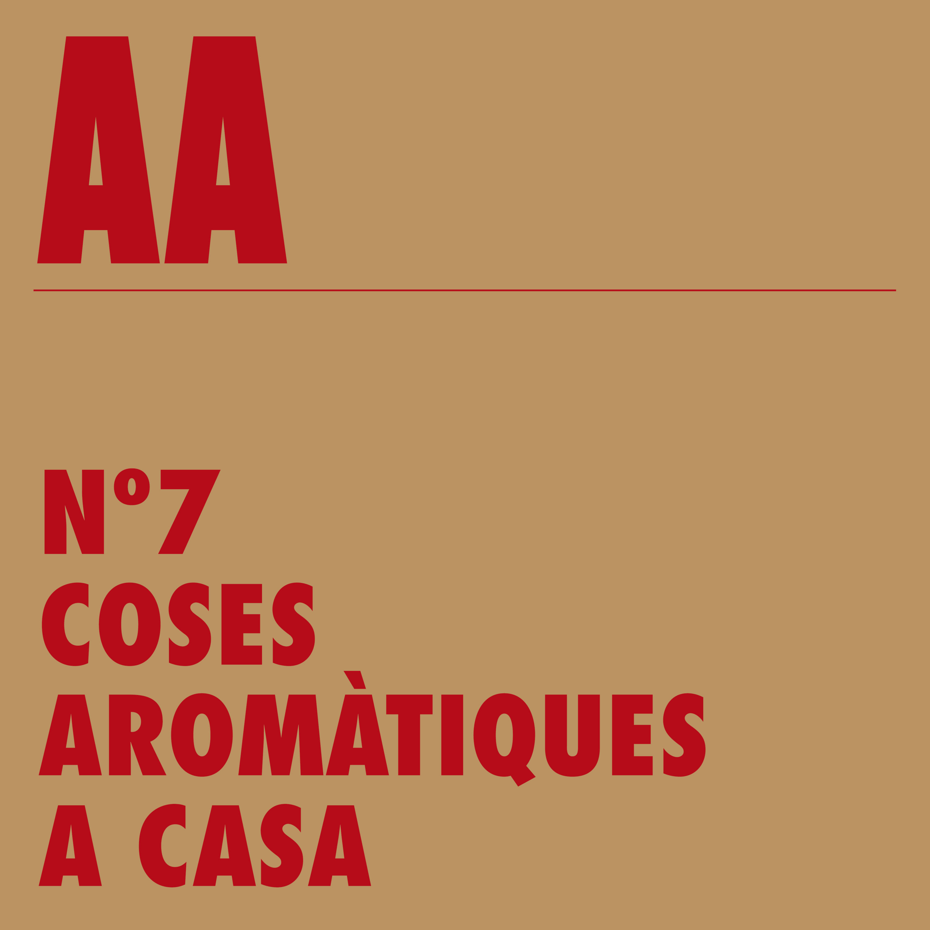 AA - Agafa el telèfon