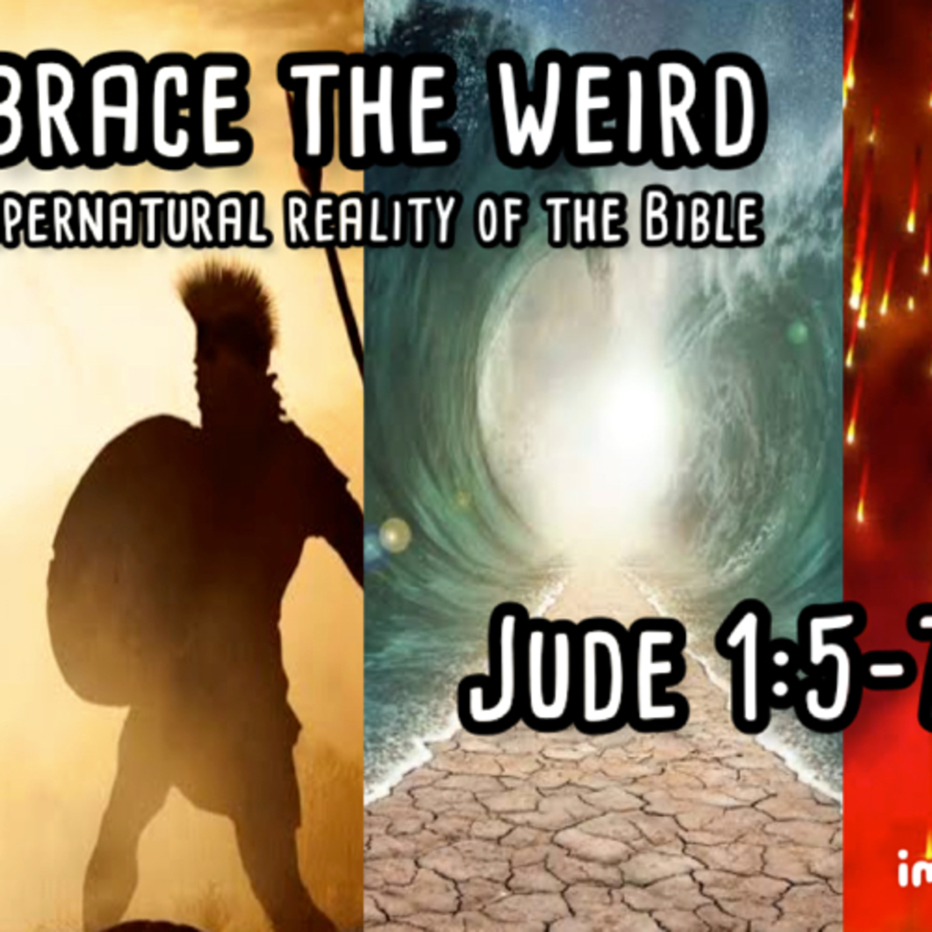 Embrace the weird! episode artwork