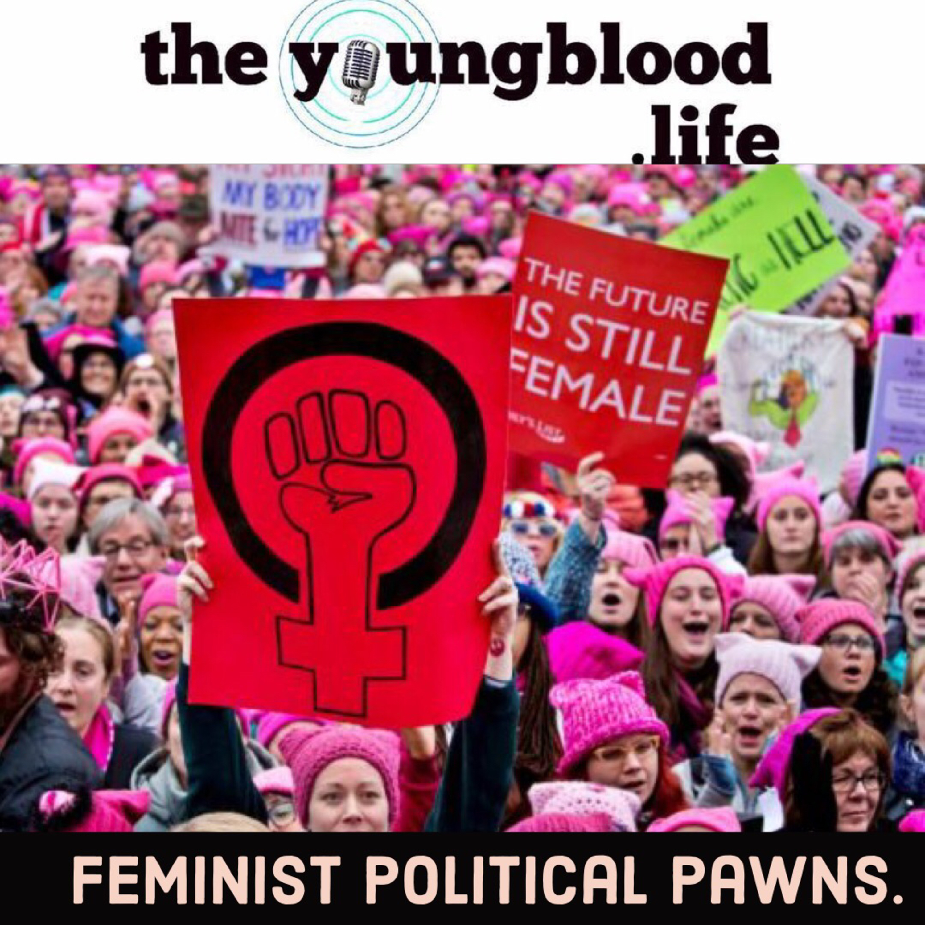 Feminist Political Pawns episode artwork