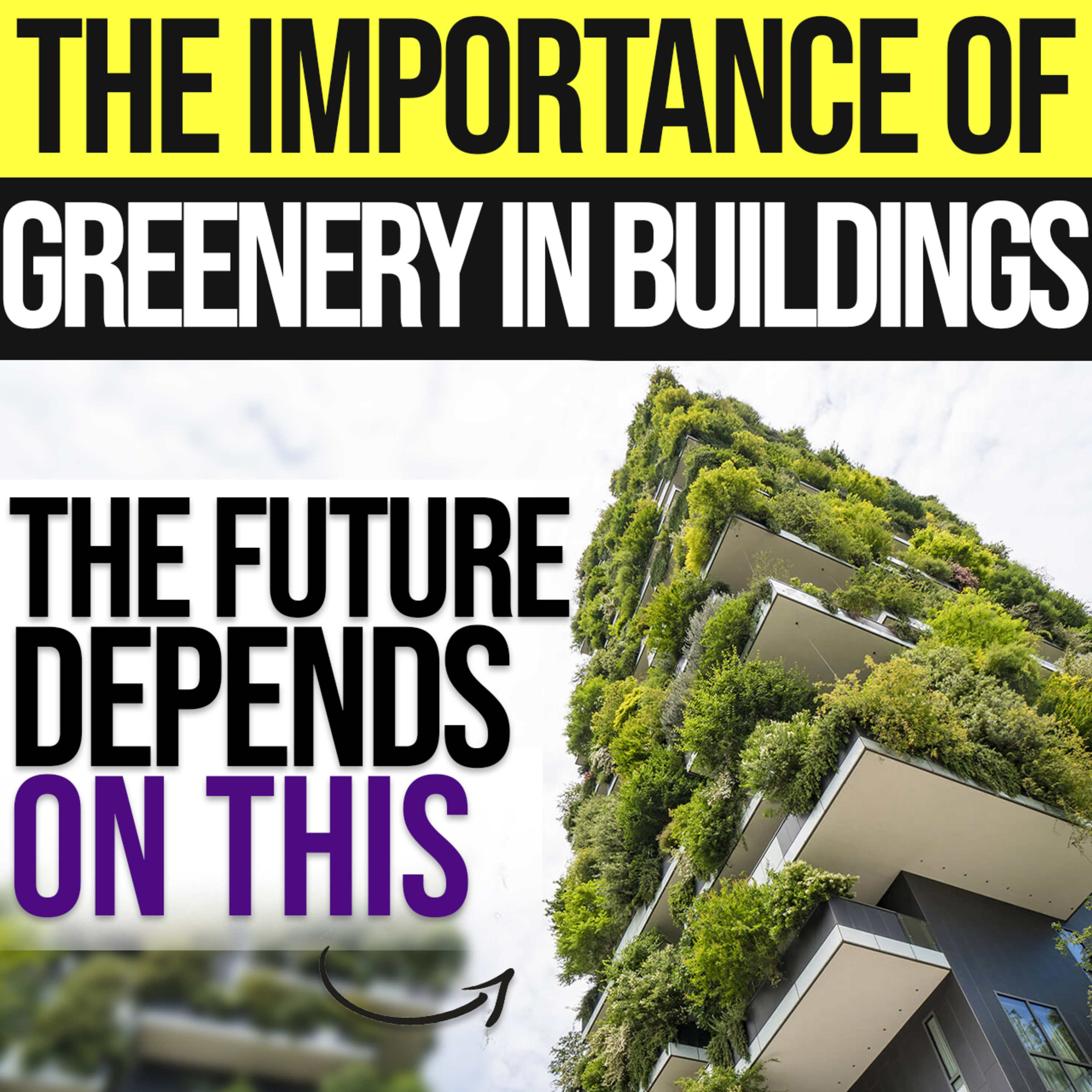 The Successful Archi Student\'s Podcast