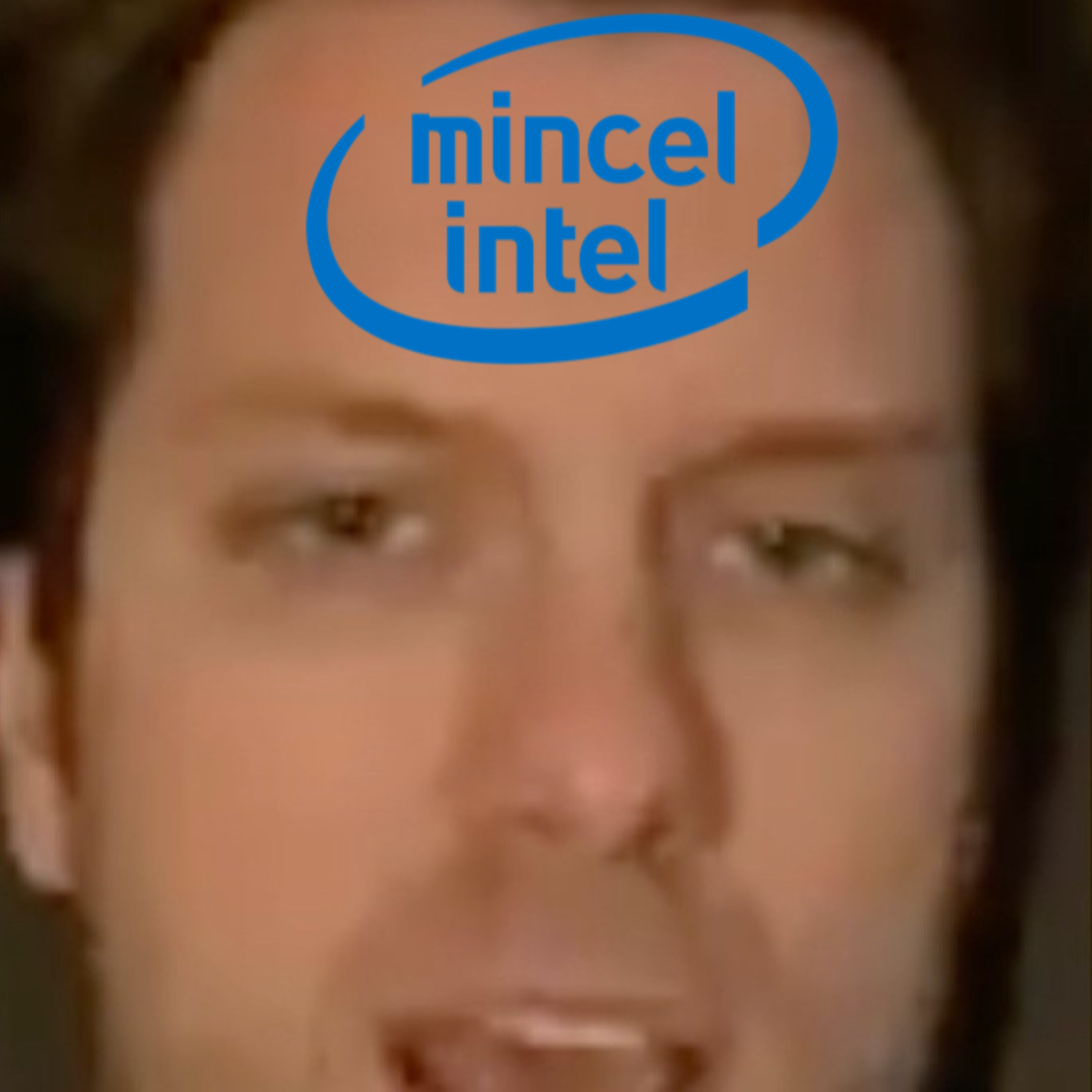 Mincel Intel