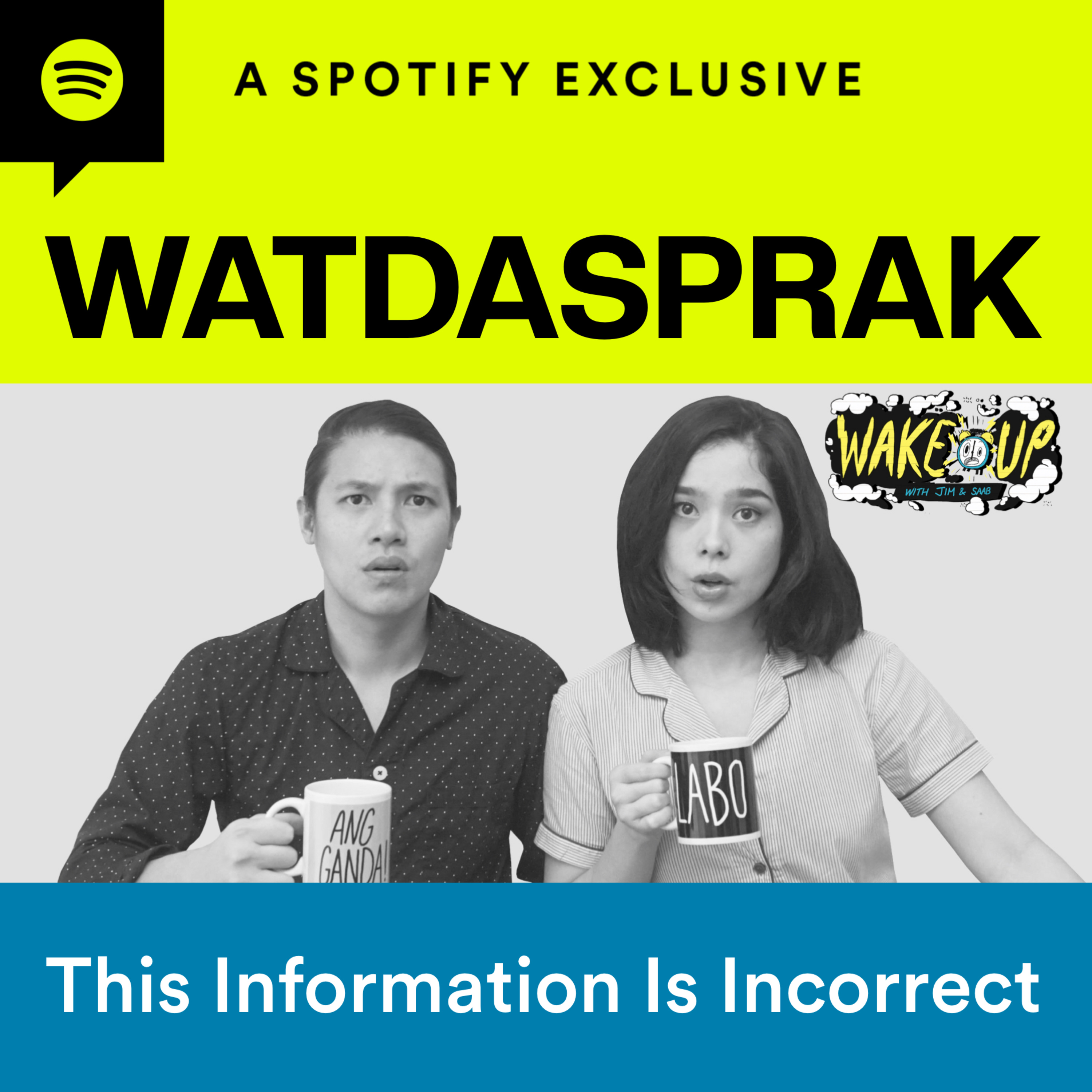 This Information Is Incorrect | WATDASPRAK