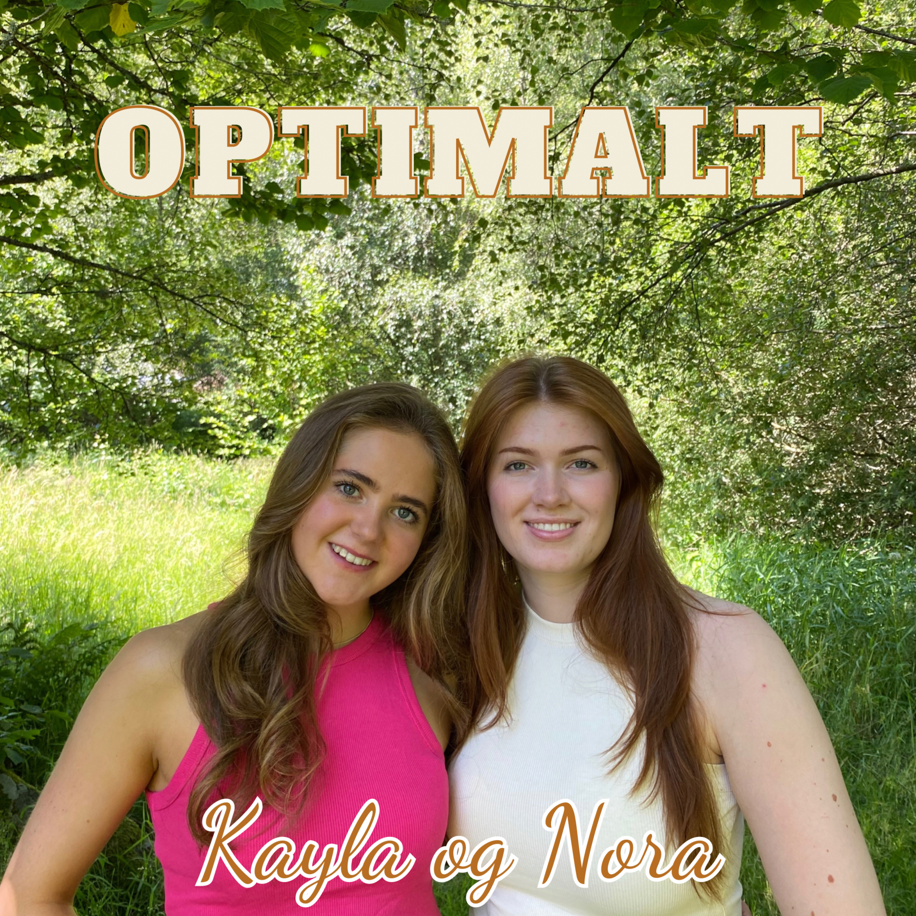 Optimalt