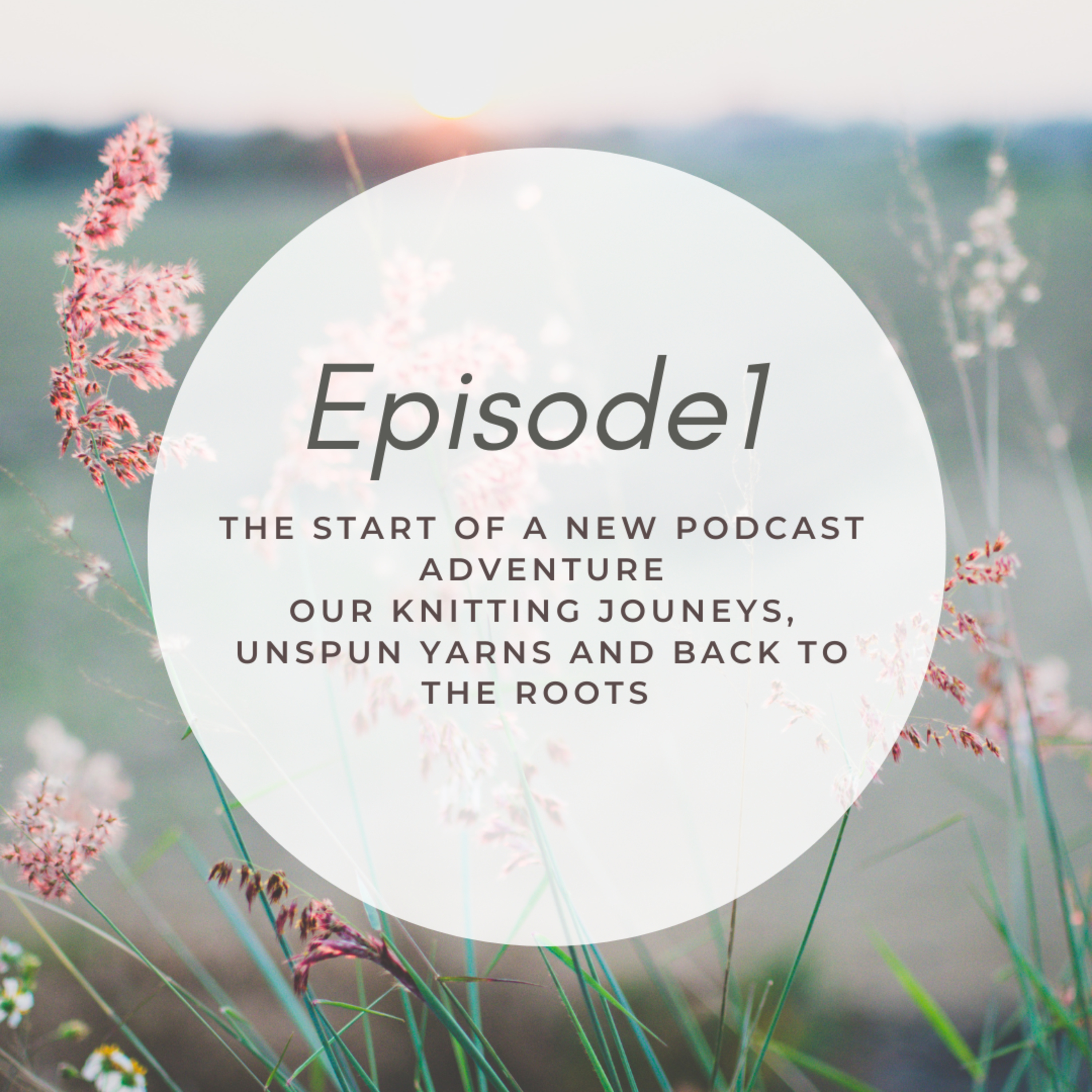 Episode 1- The start of a new podcast adventure episode artwork