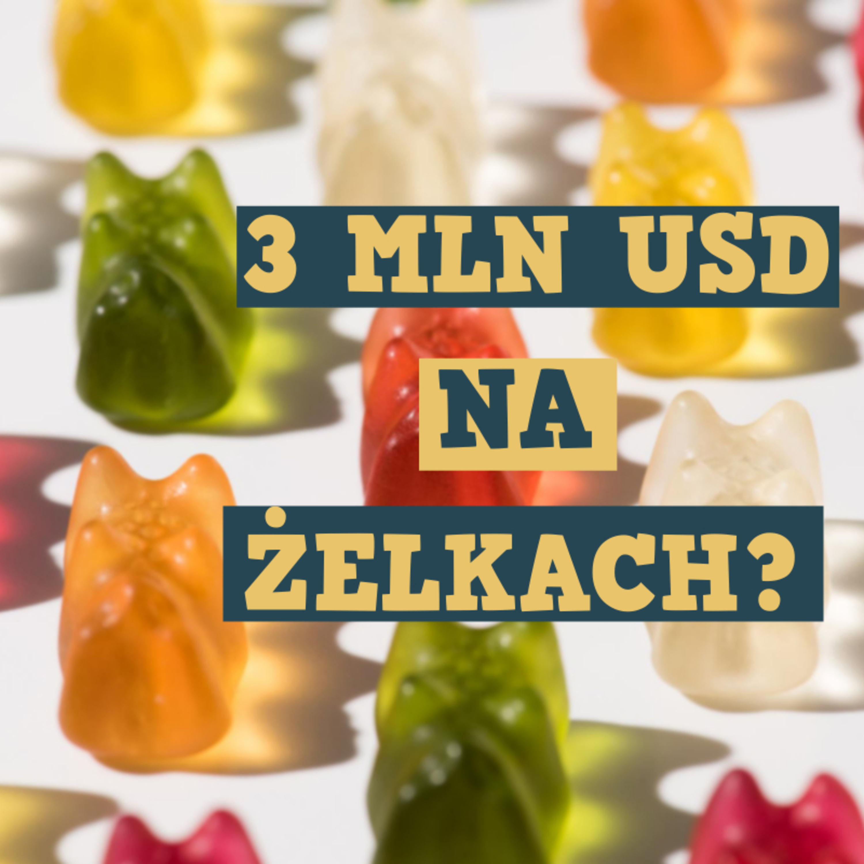 Mamo, Zakładam Firmę!