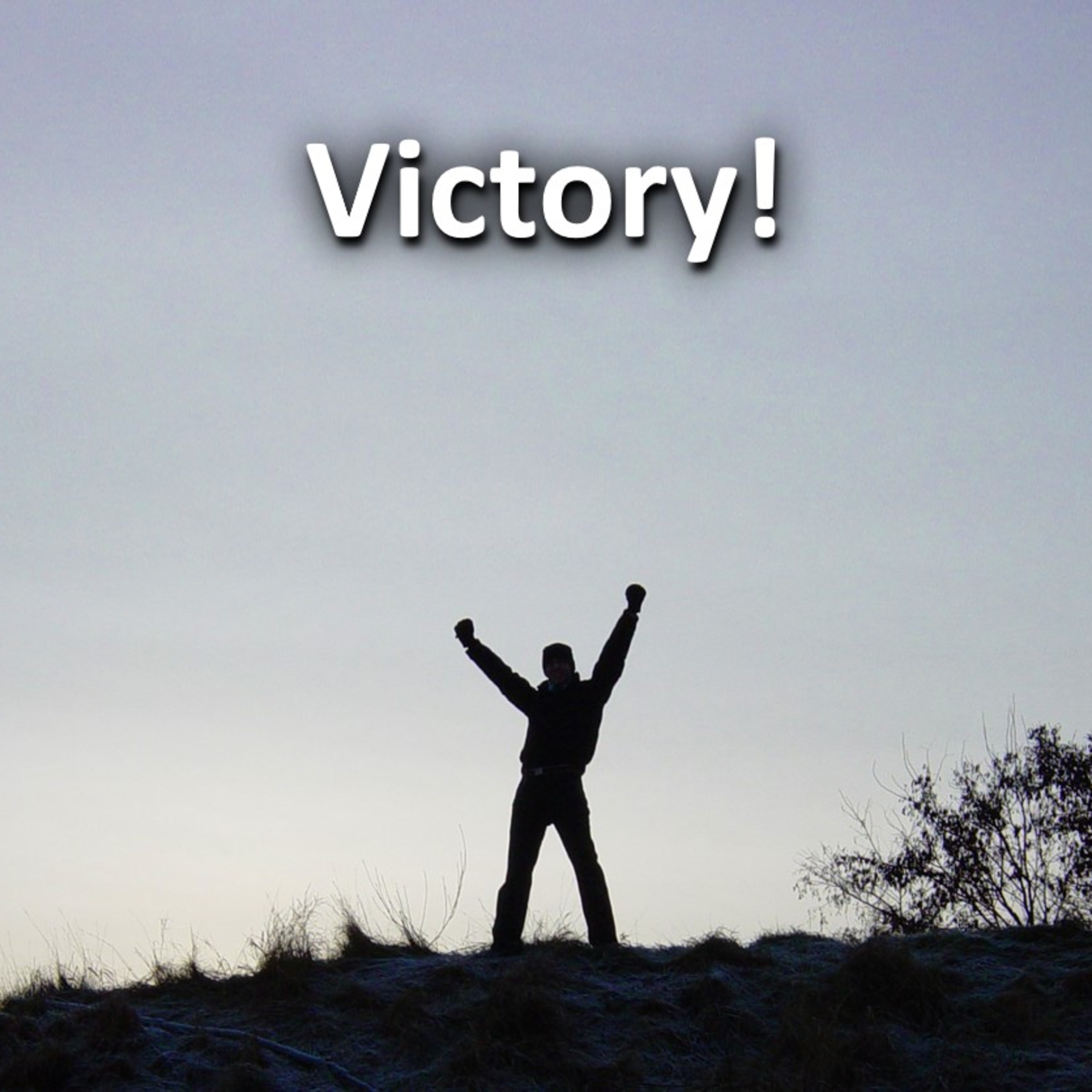 Victory episode artwork