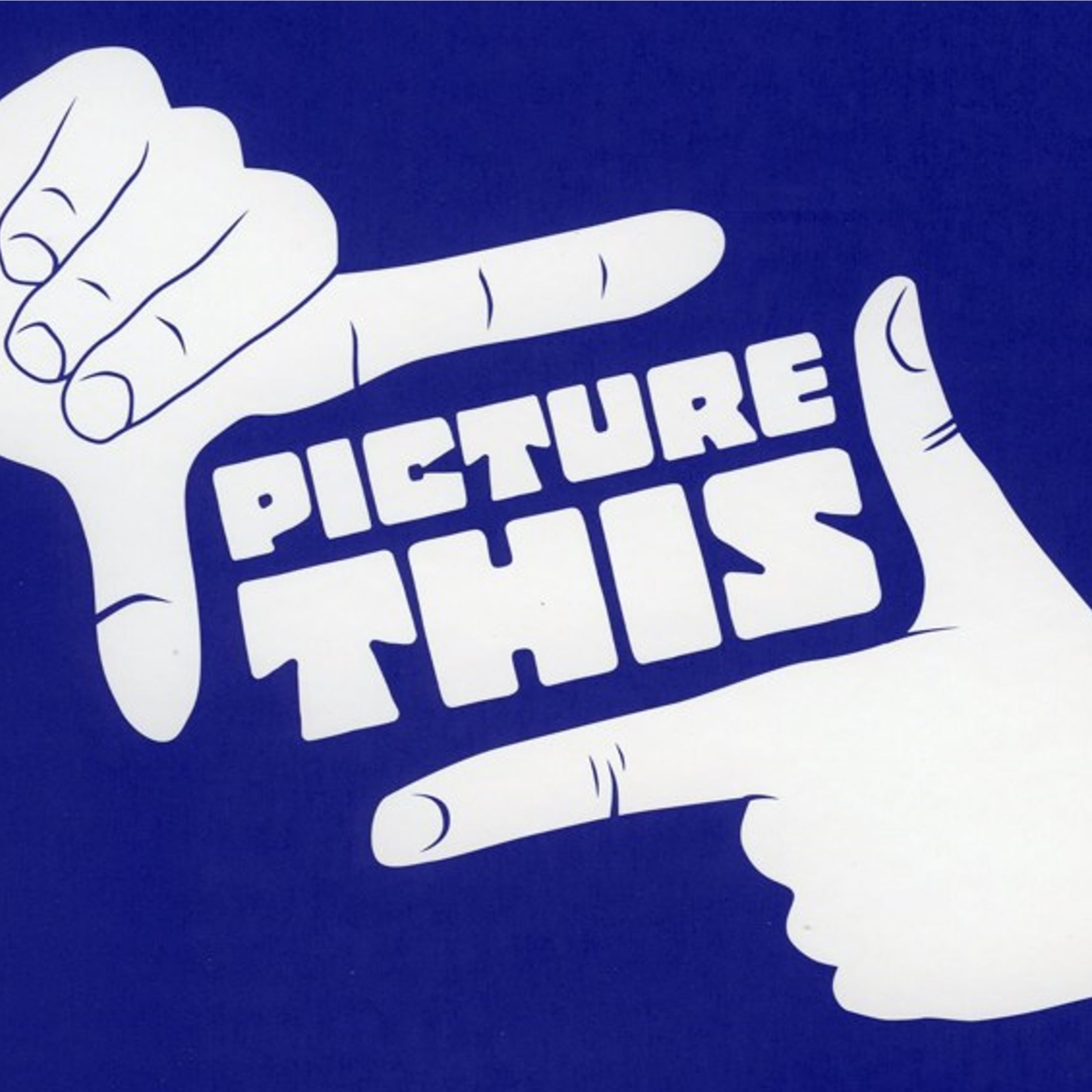 Picture This episode artwork