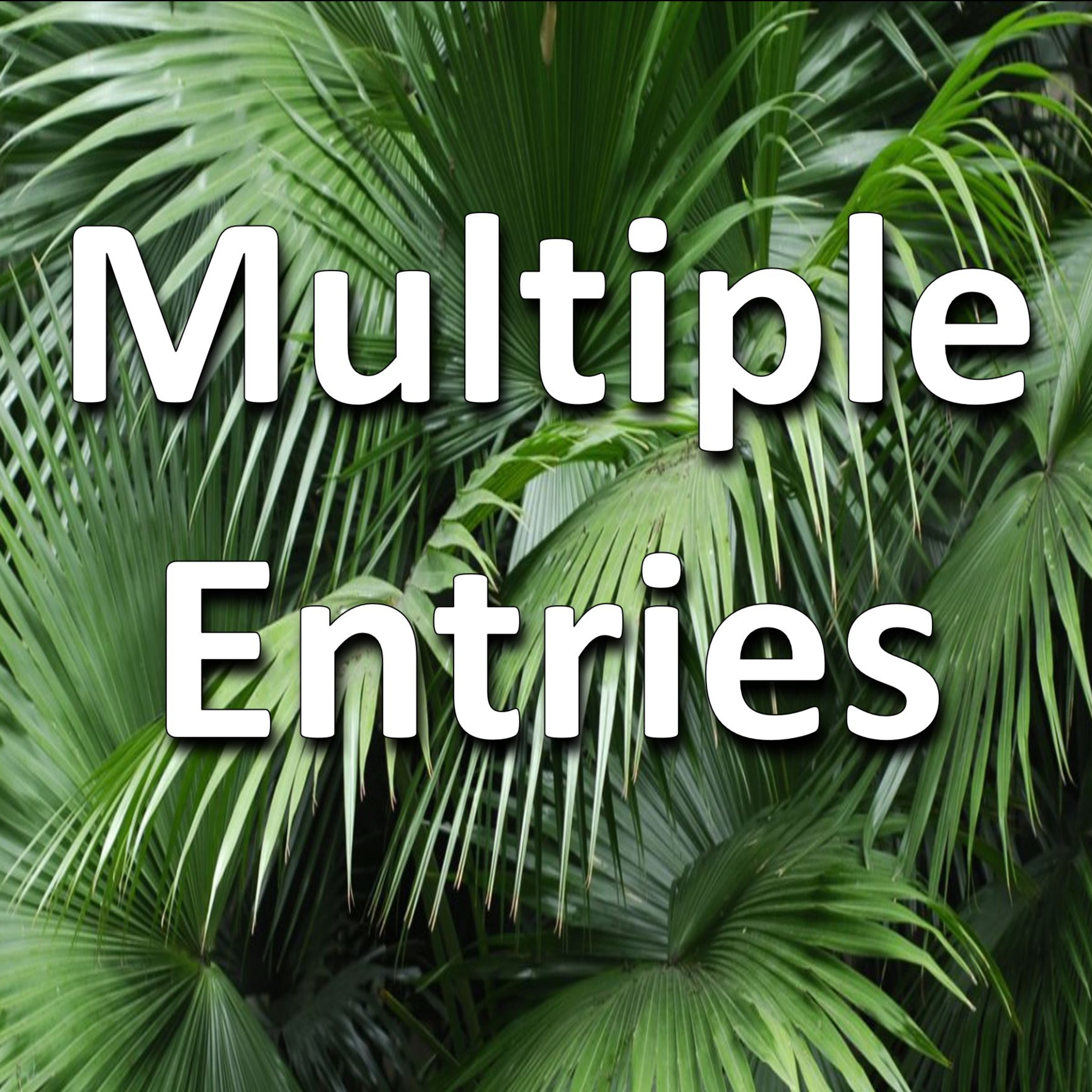 Multiple Entries episode artwork