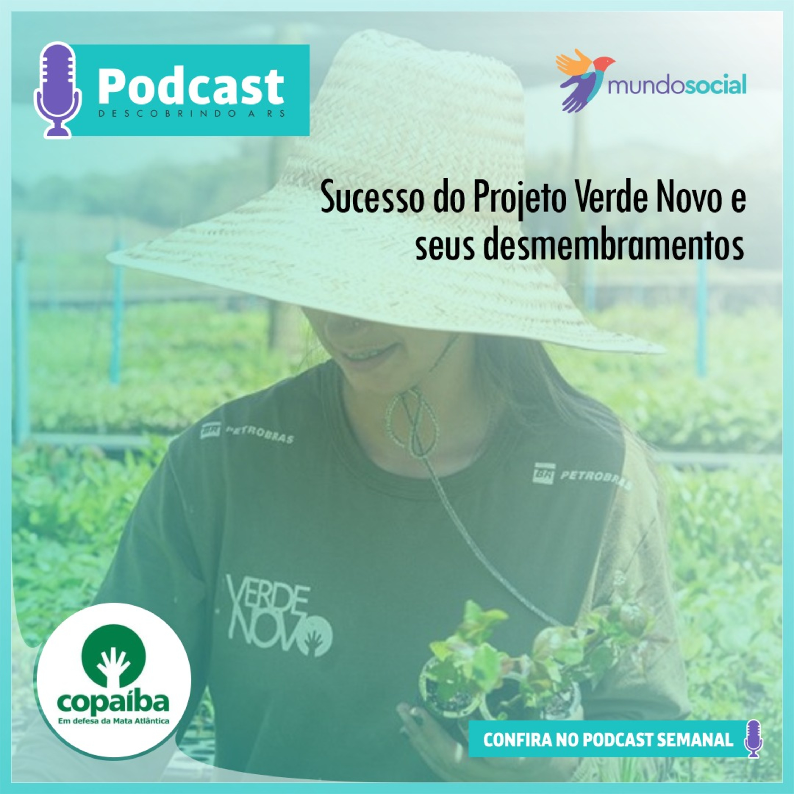 Descobrindo a Responsabilidade - O podcast da Mundo Social para você!