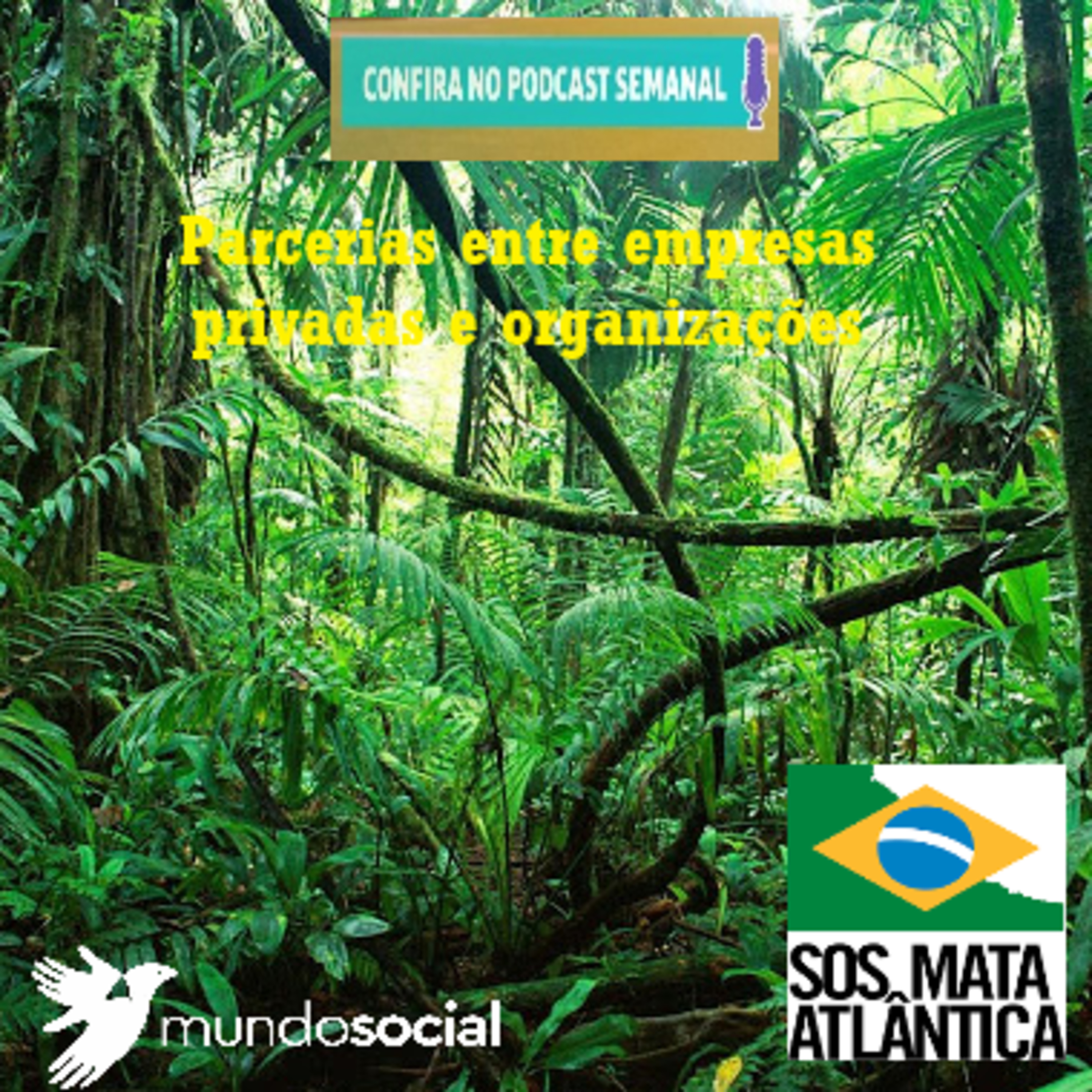 SOS Mata Atlântica - Caso de Sucesso: Parcerias com empresas privadas através de serviços ecossistêmicos