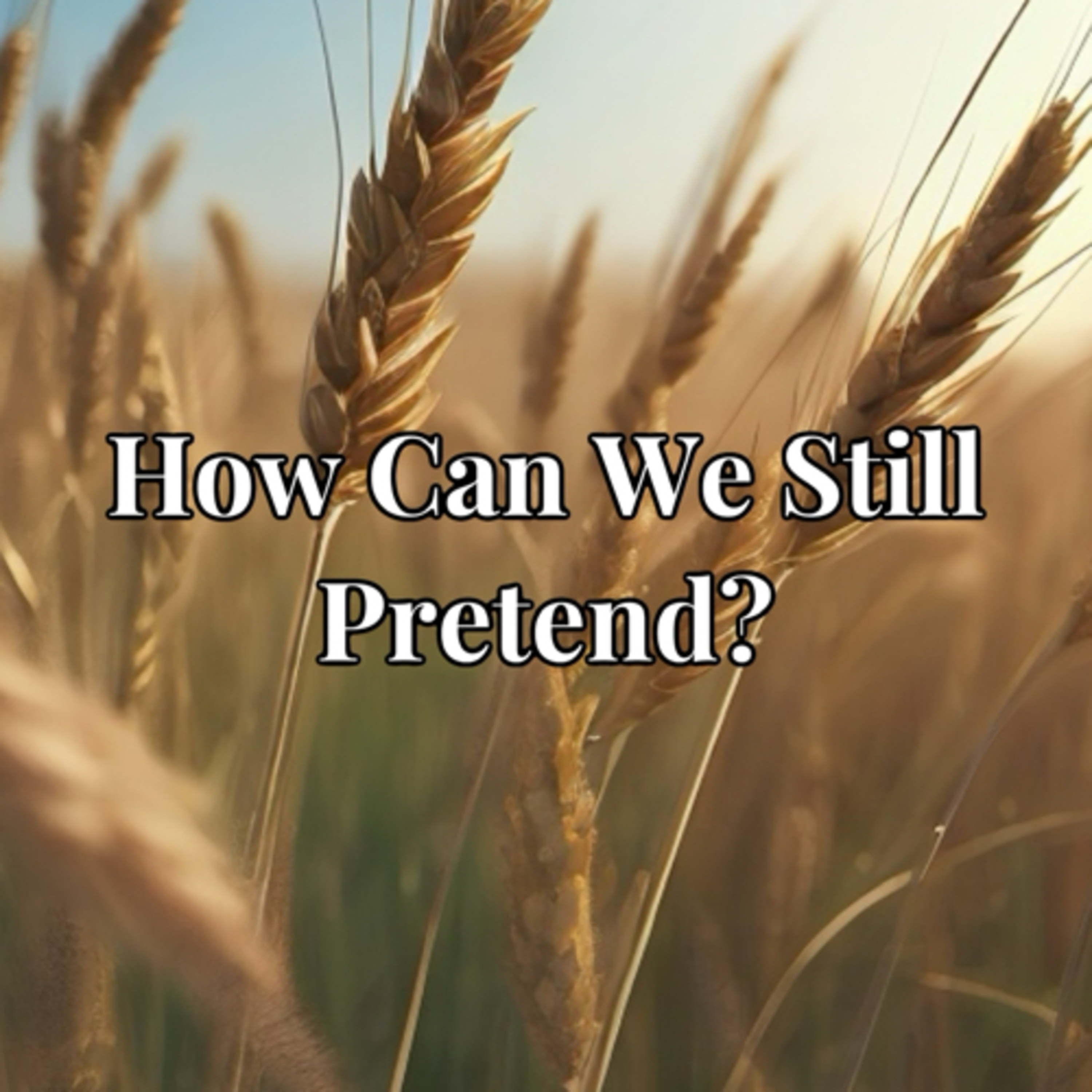How can we still pretend? episode artwork