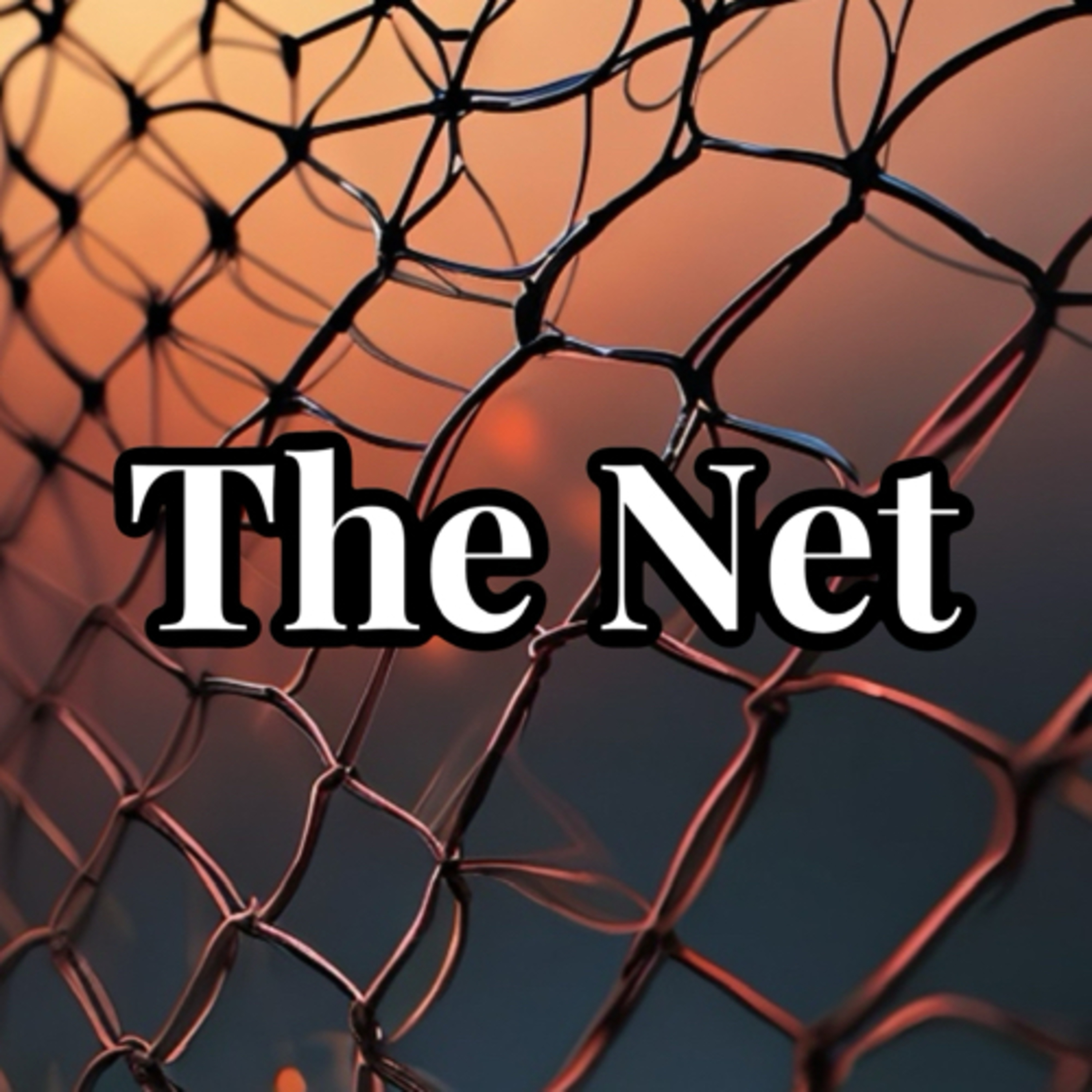 The Net  episode artwork