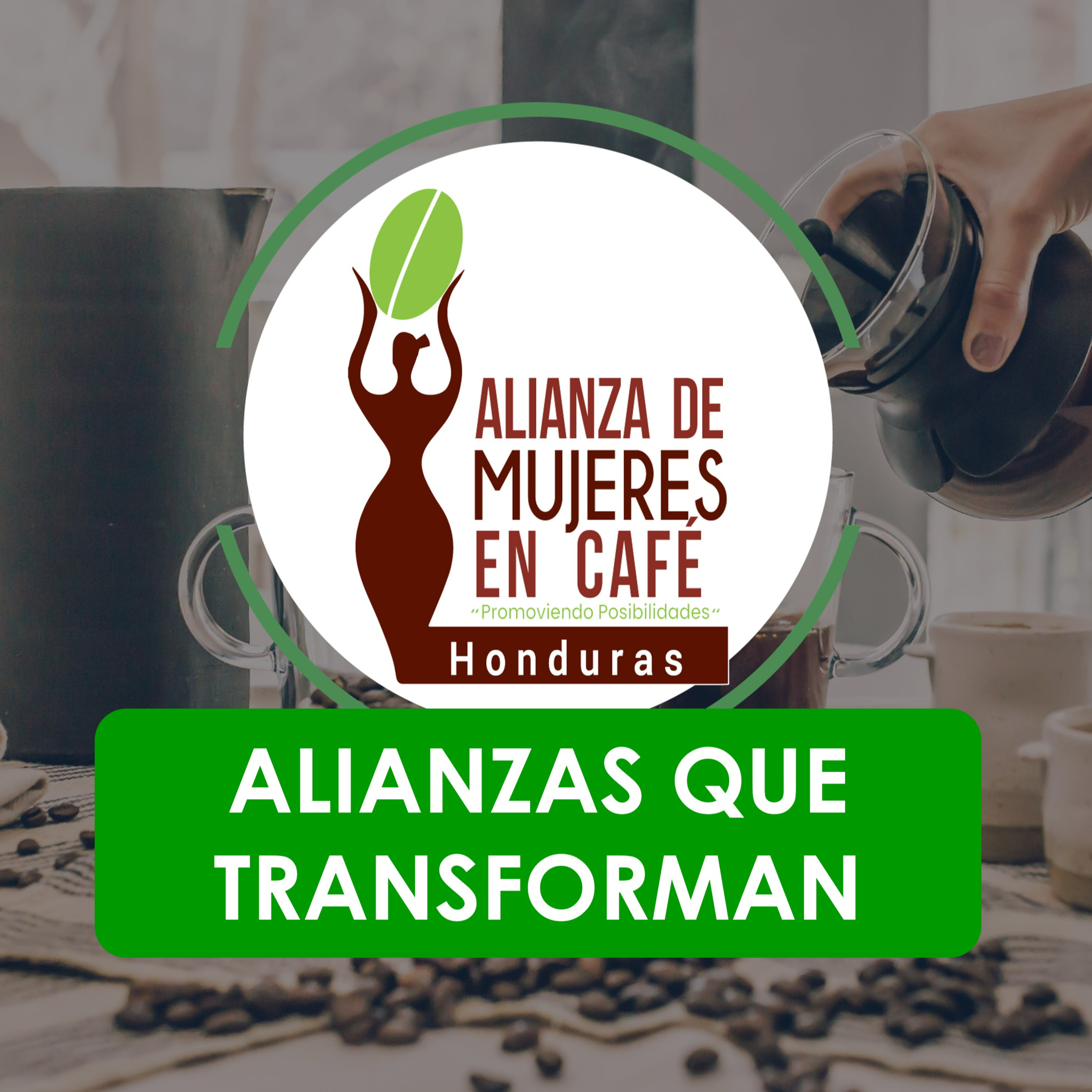 Cafeína Catracha HN
