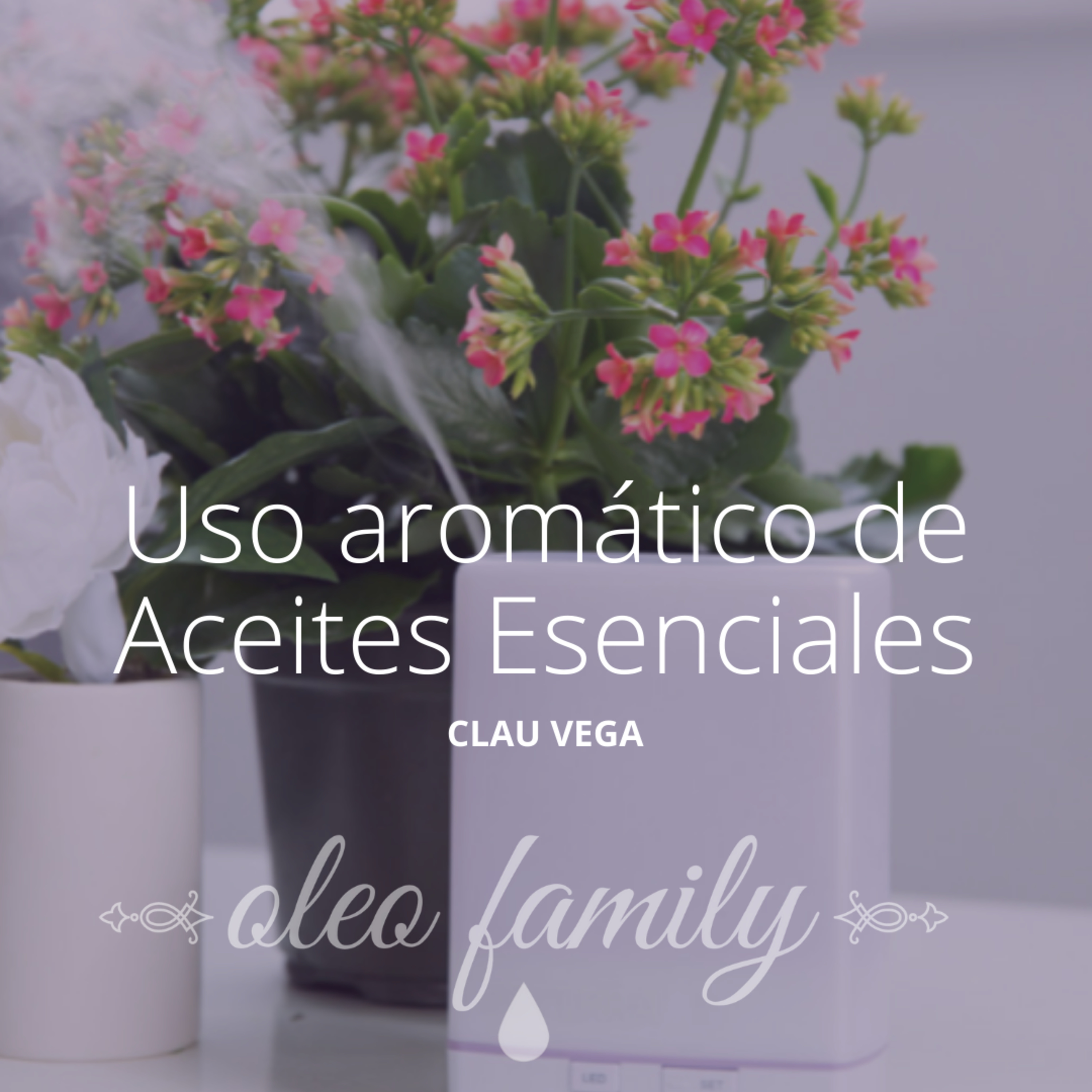 Aceites Esenciales Usos y Tips con Clau Vega