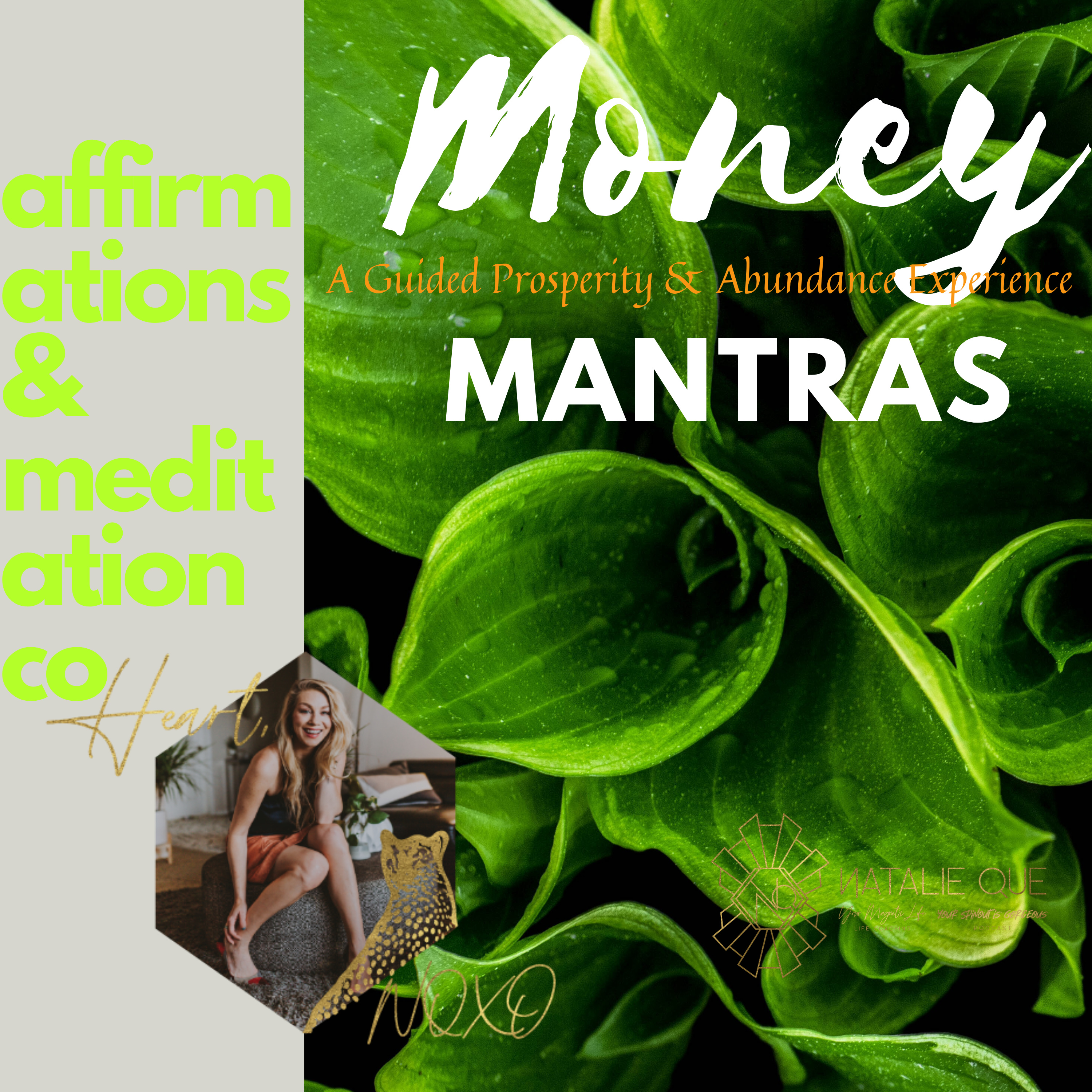 Money Mantras Abundance Prosperity Wealth Abundance Improve your Money Story Guided Meditation