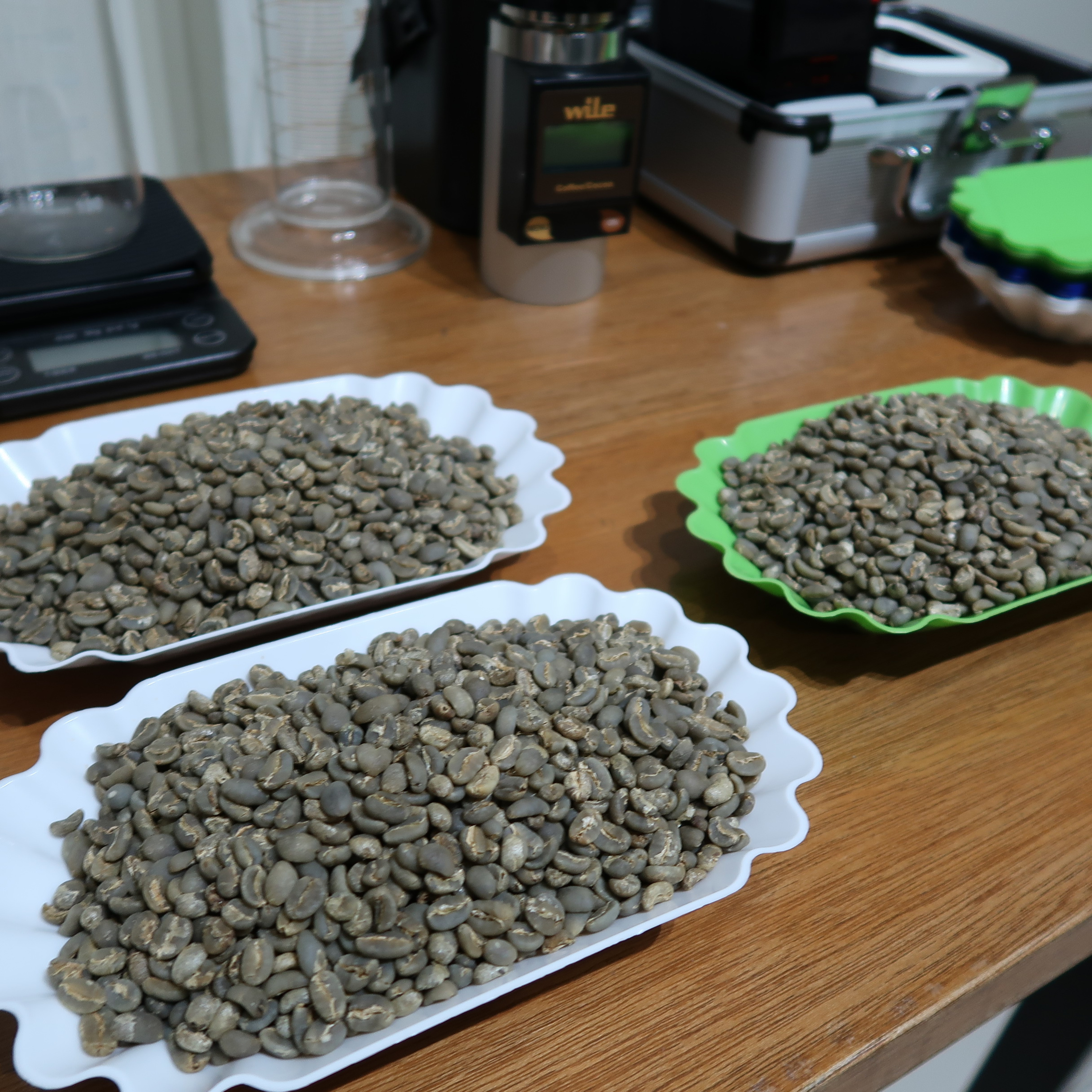 Penikmat Kopi