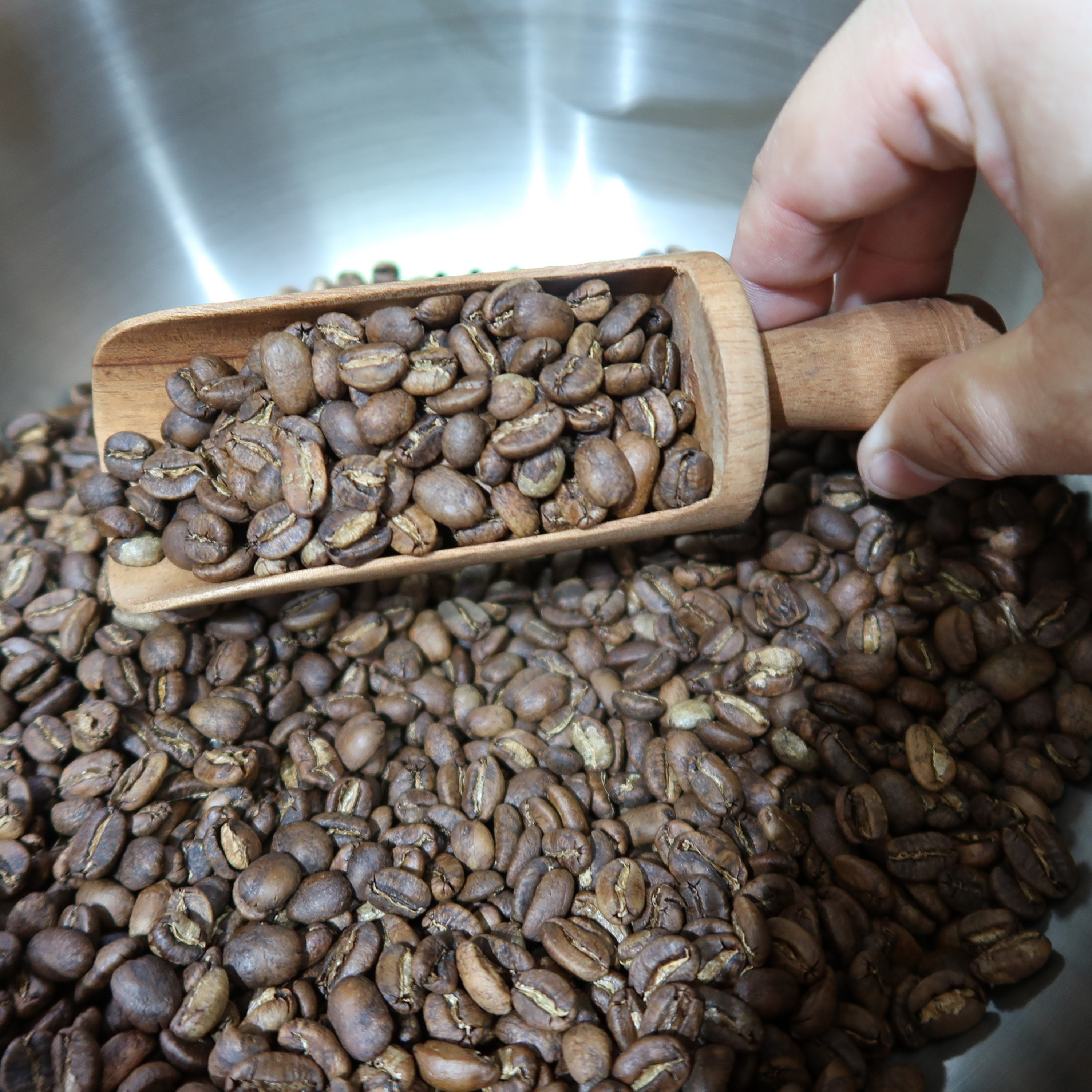 Penikmat Kopi