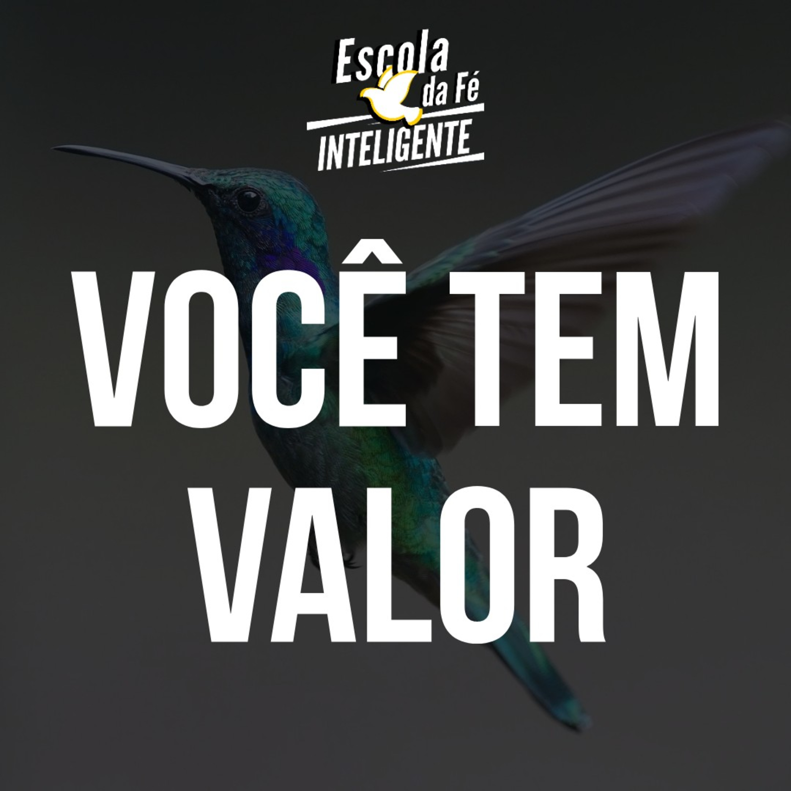 VOCÊ TEM VALOR episode artwork