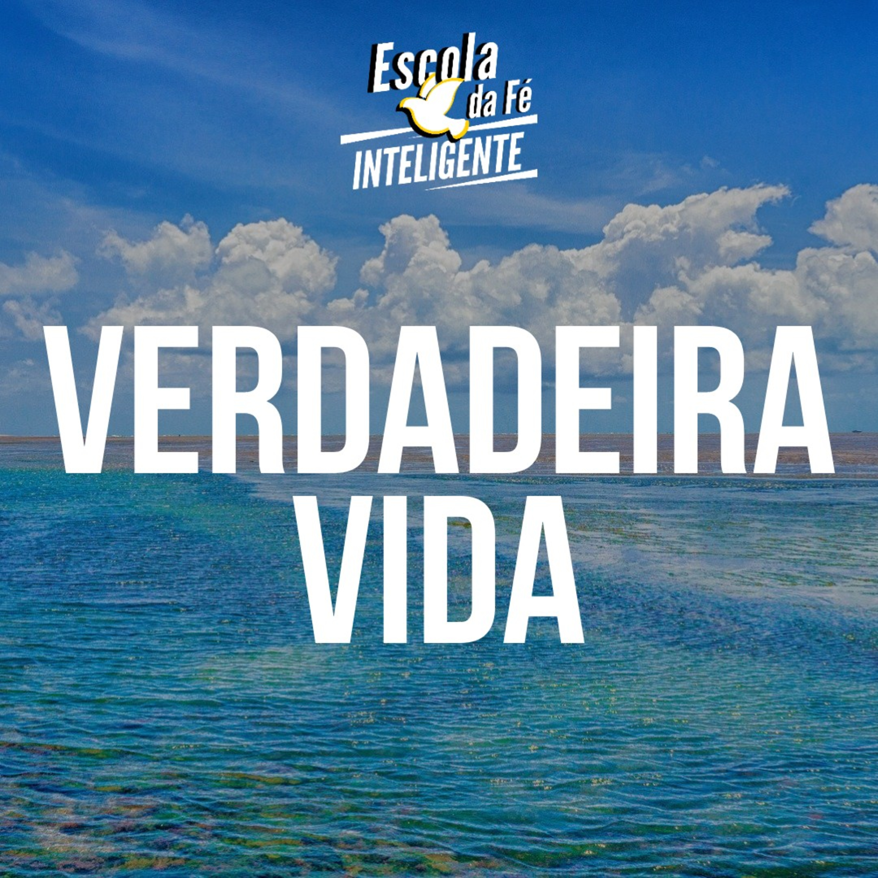 VERDADEIRA VIDA episode artwork
