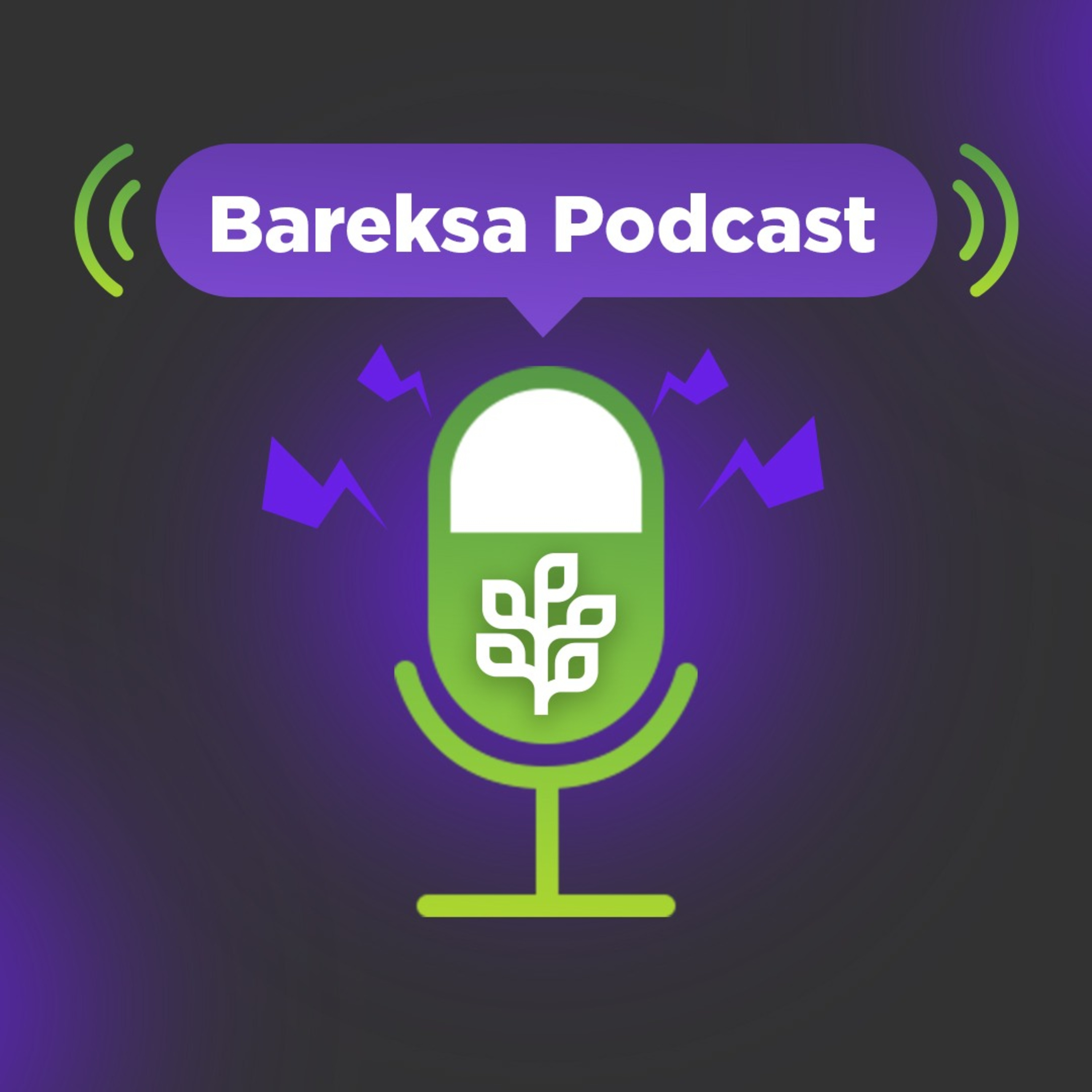 Bareksa Insight