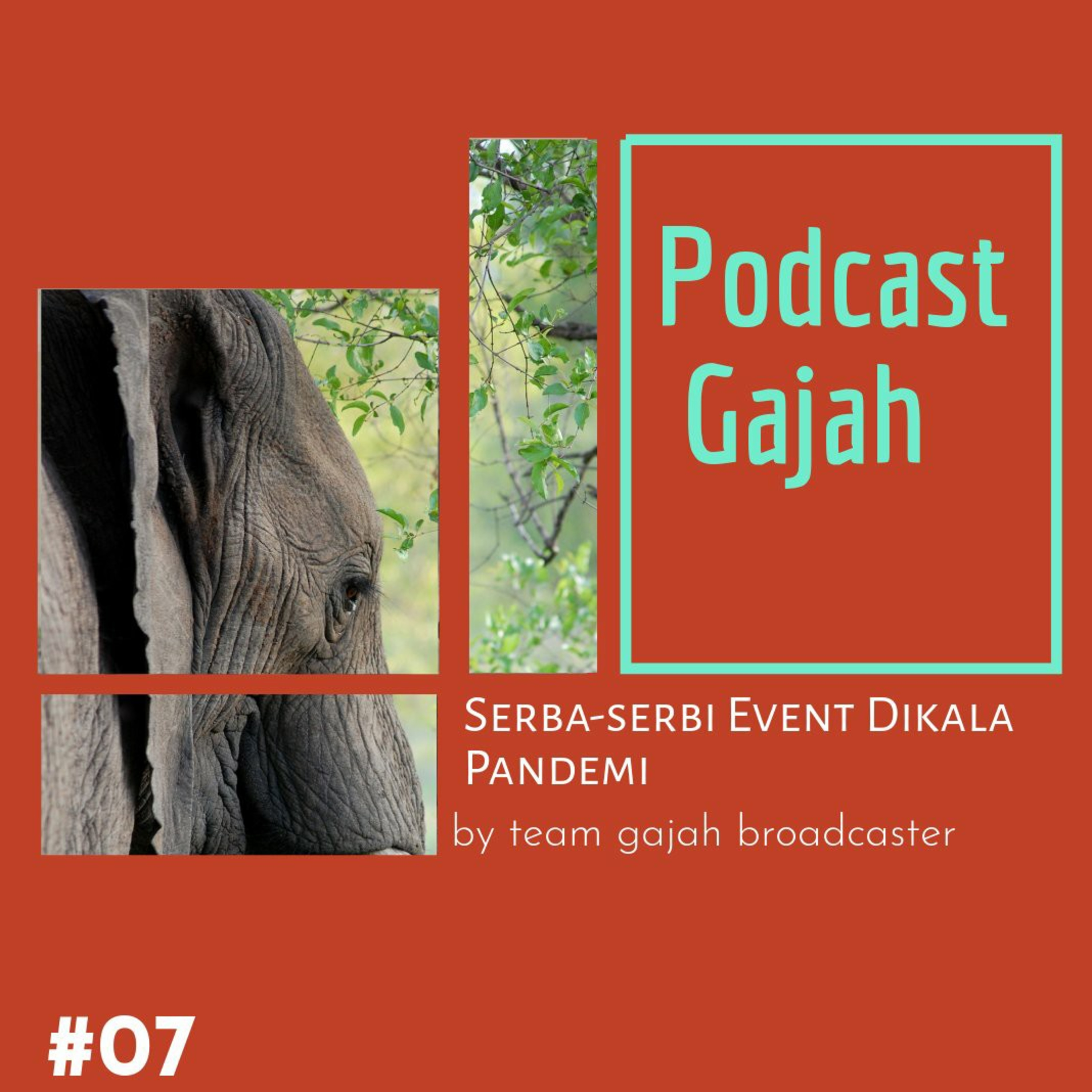 Podcast Gajah