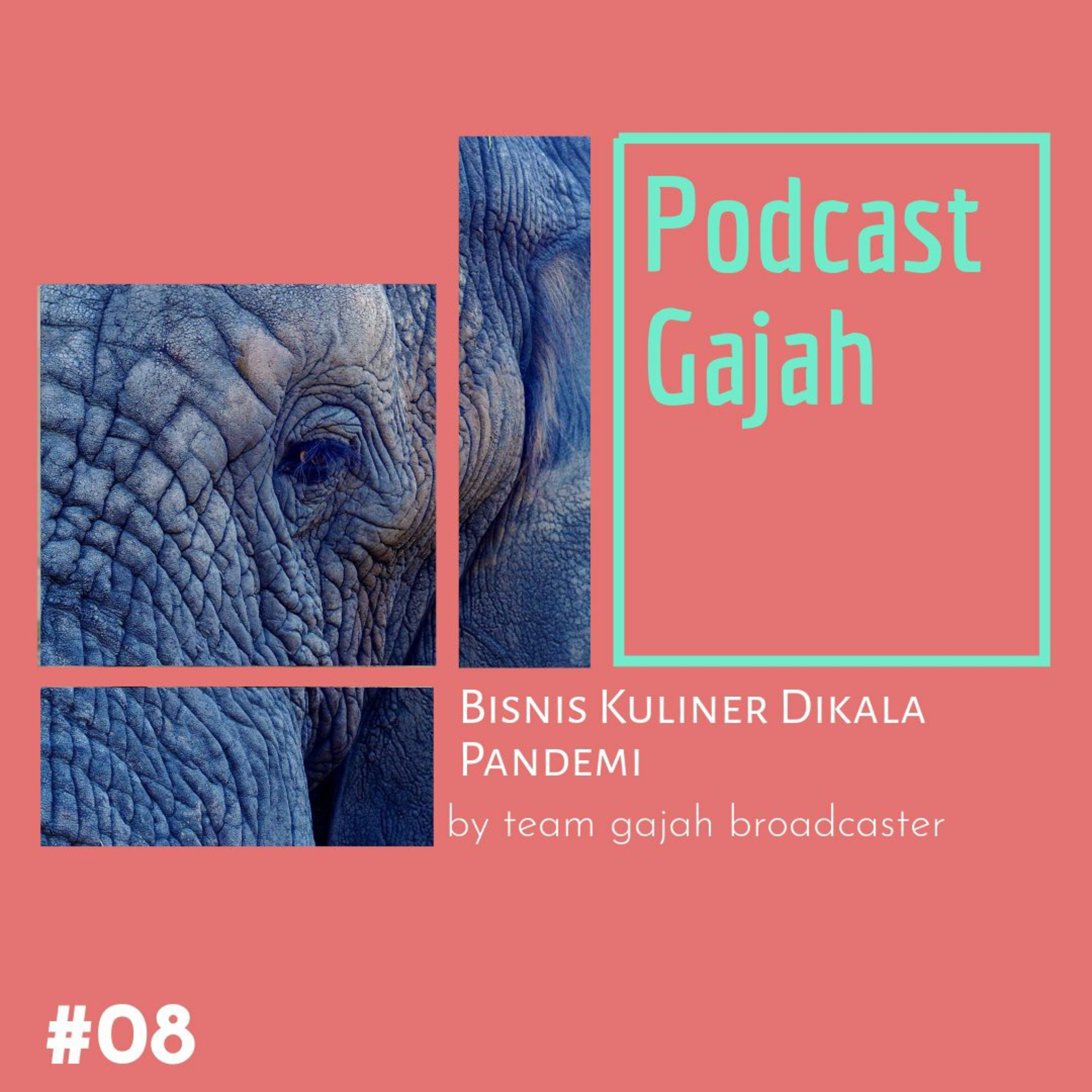Podcast Gajah