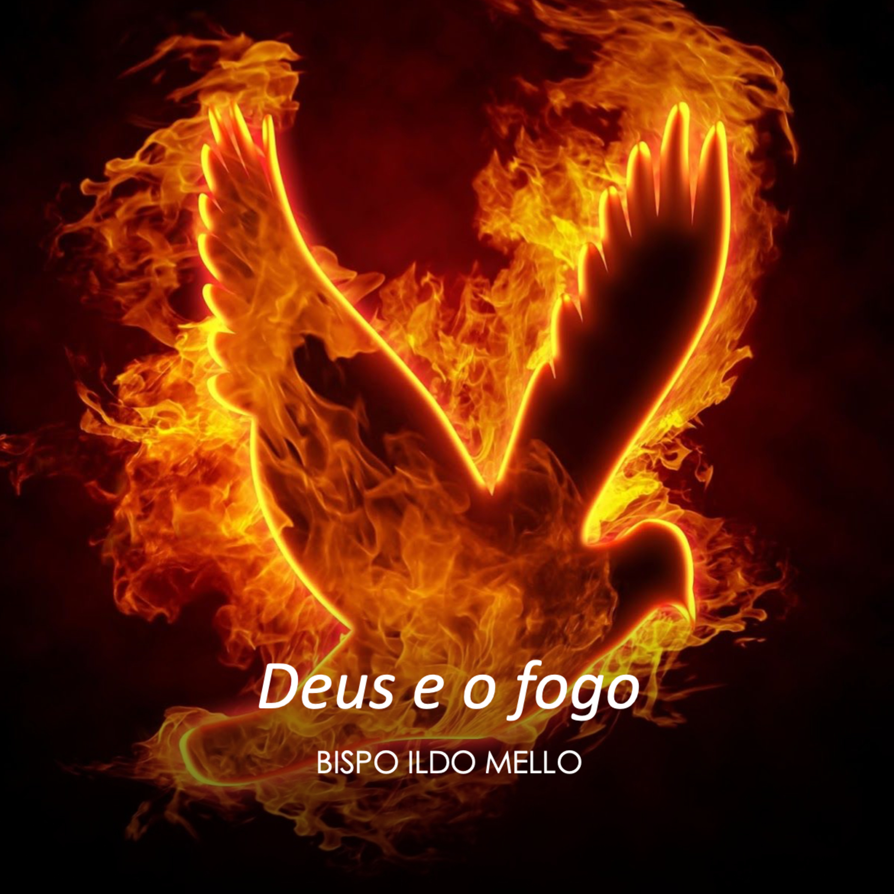 Bispo Ildo