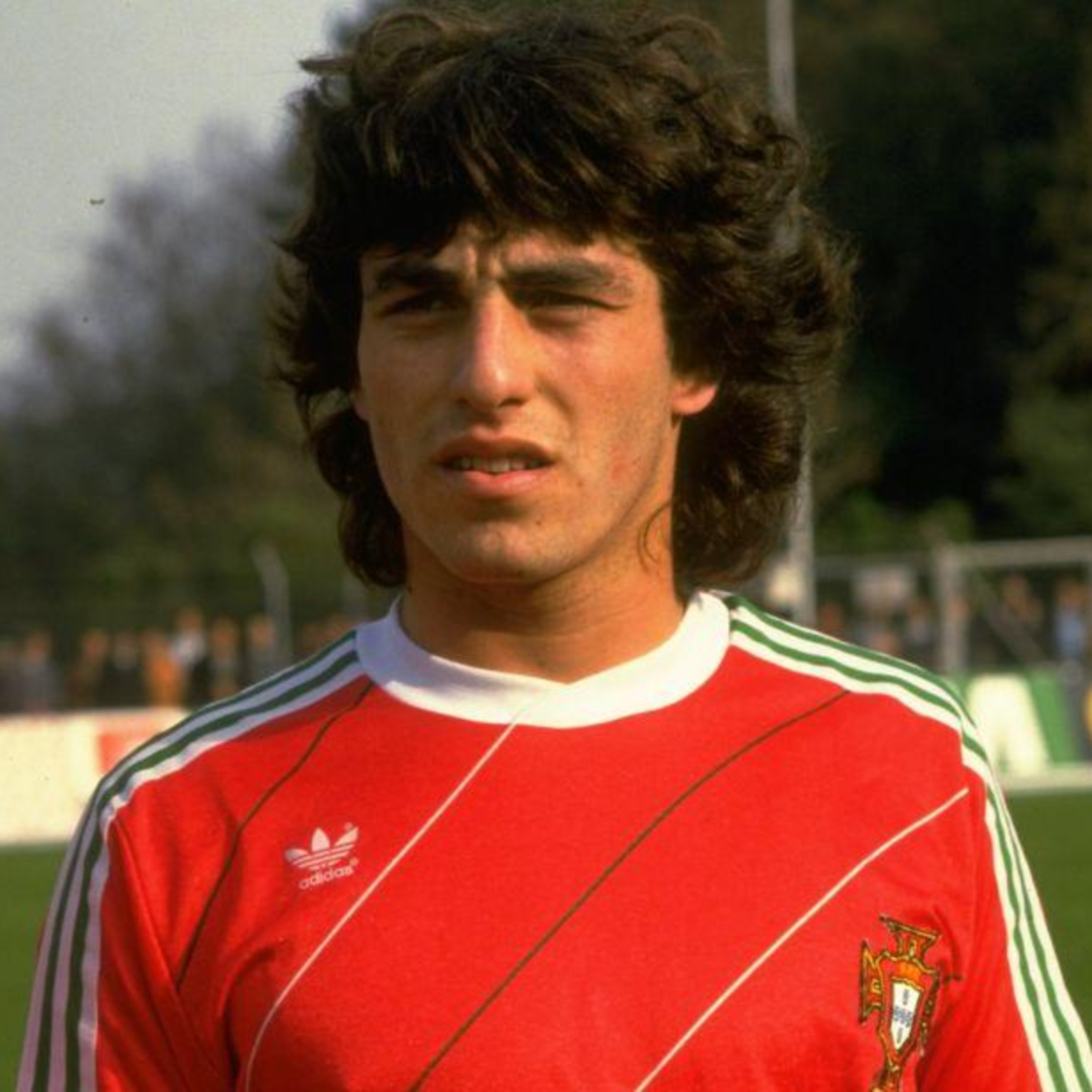 Caderneta de Cromos