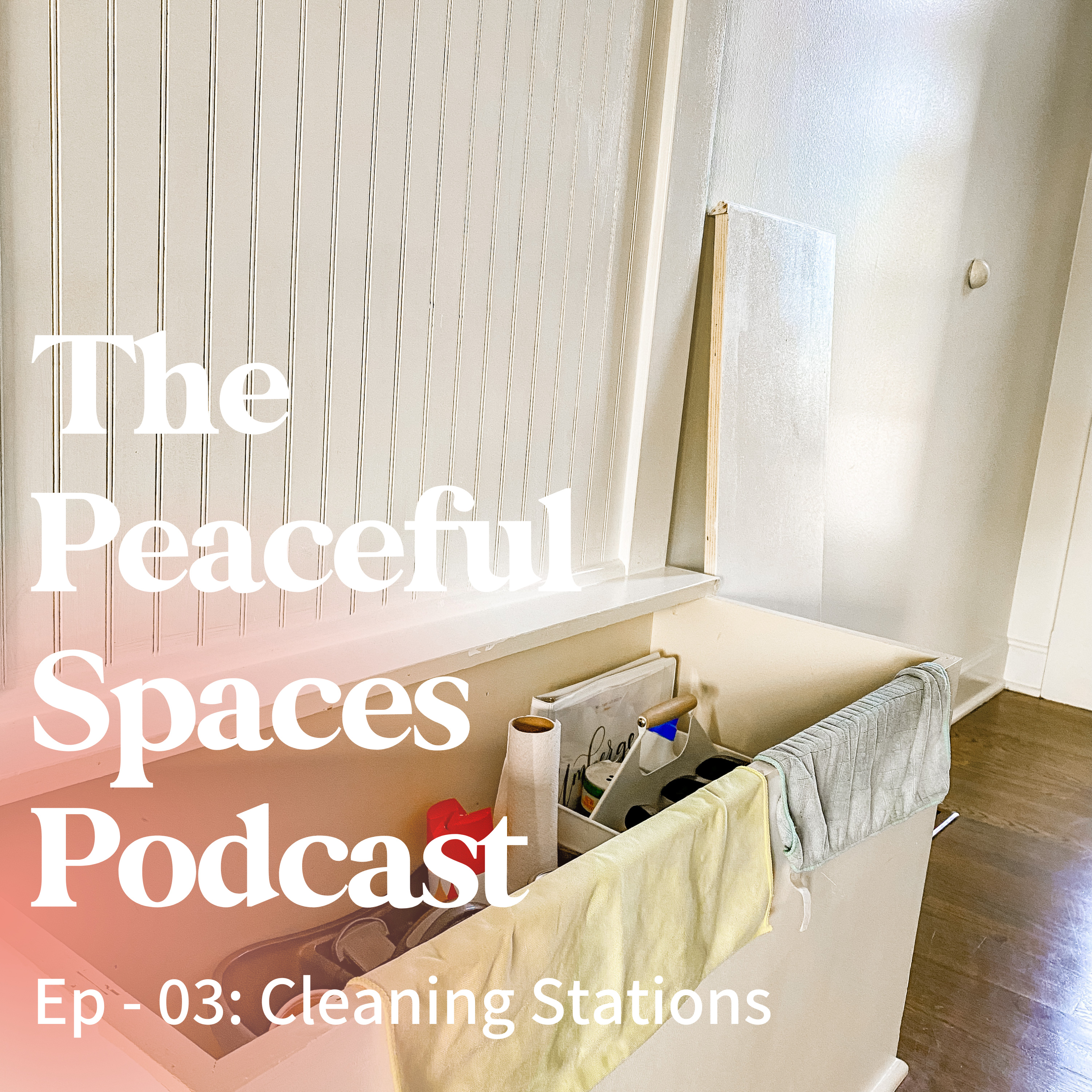 Cleaning Stations