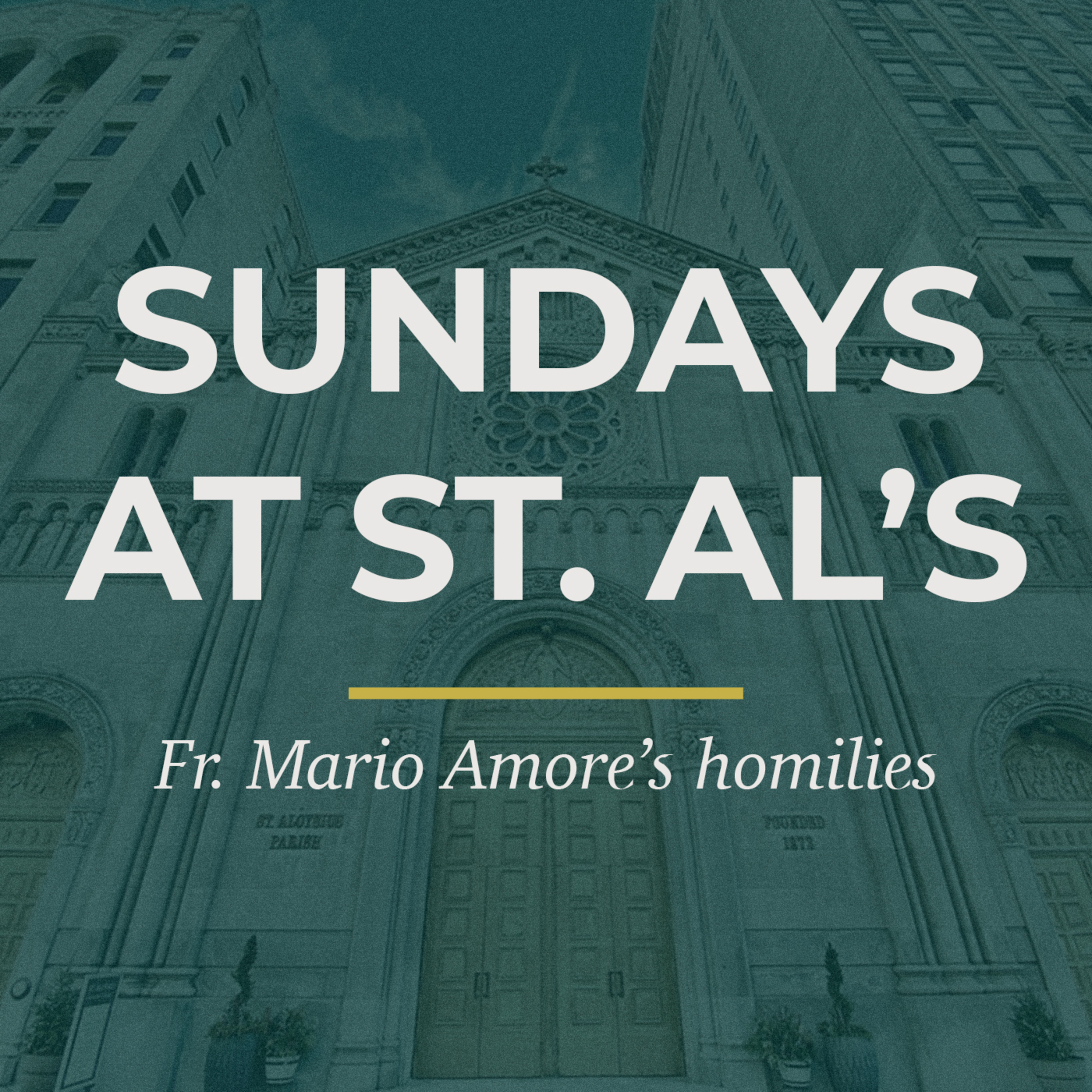 Homily for November 13, the Thirty-Third Sunday in Ordinary Time episode artwork
