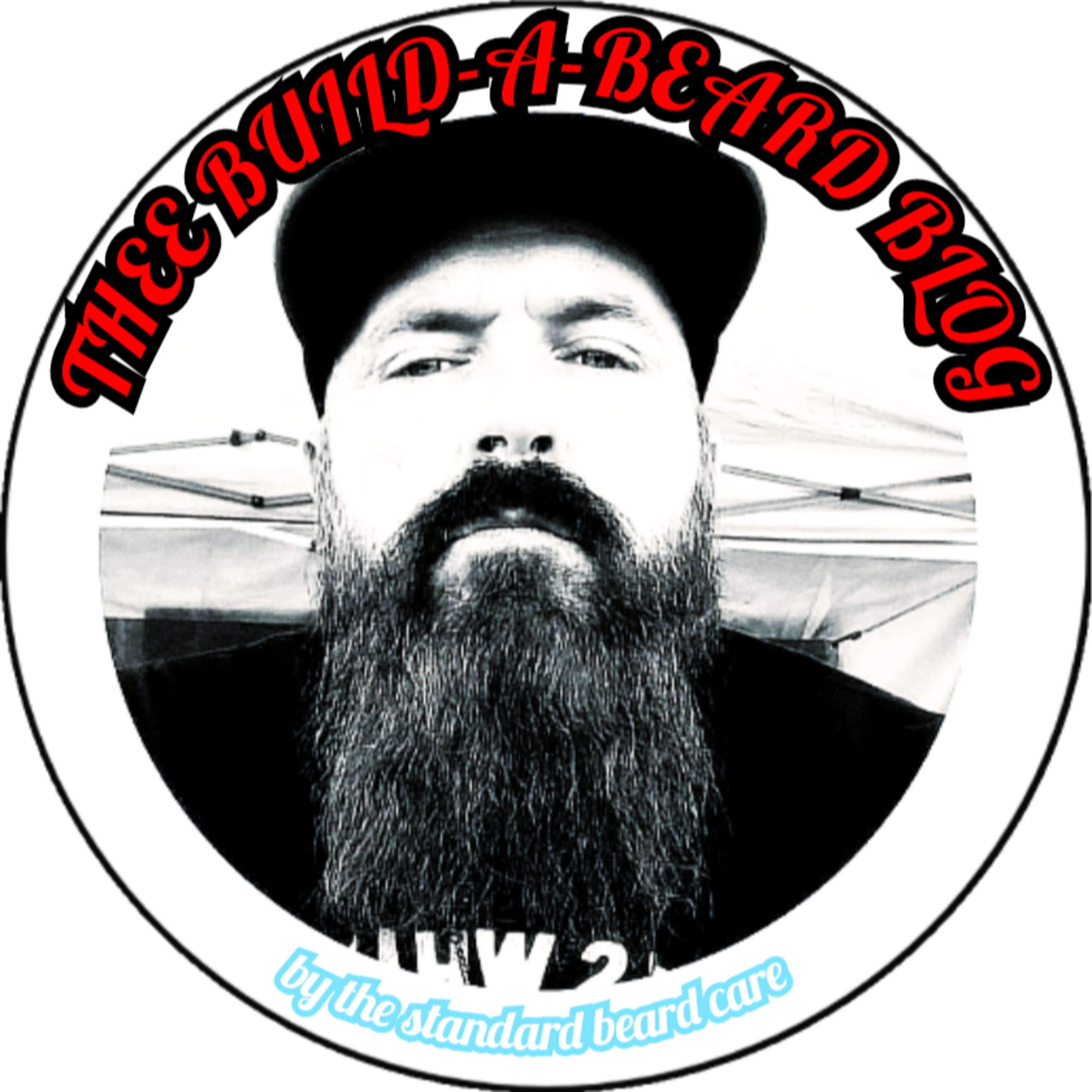 THEE BUILD-A-BEARD BLOG