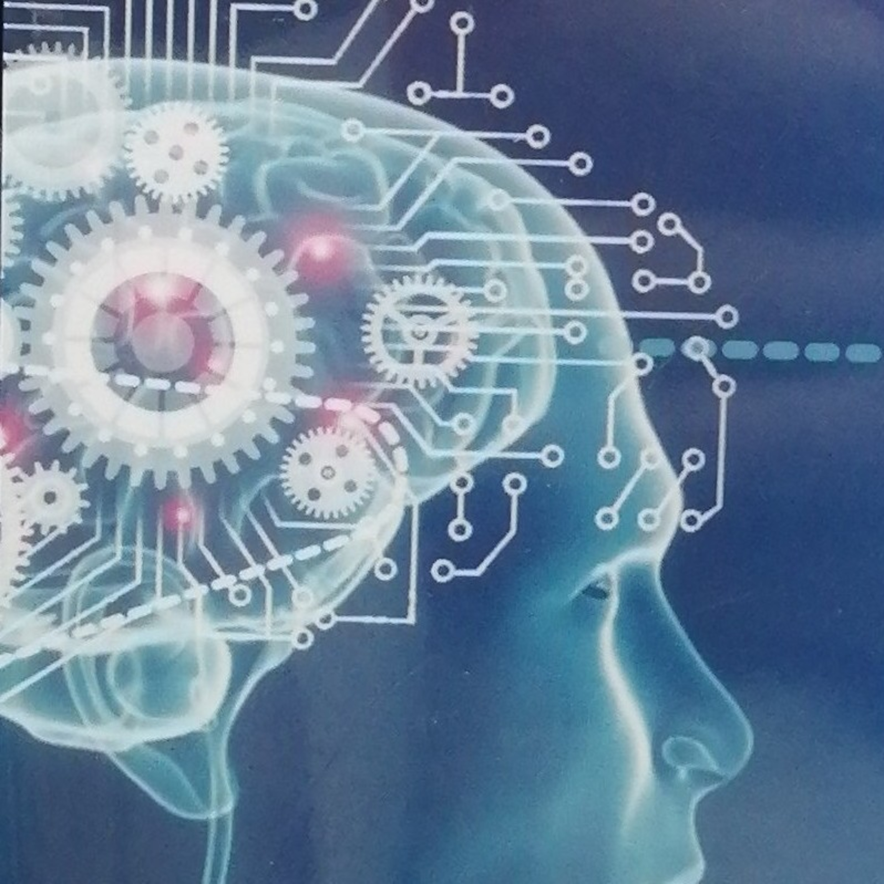 Ventas, servicio al cliente y transporte