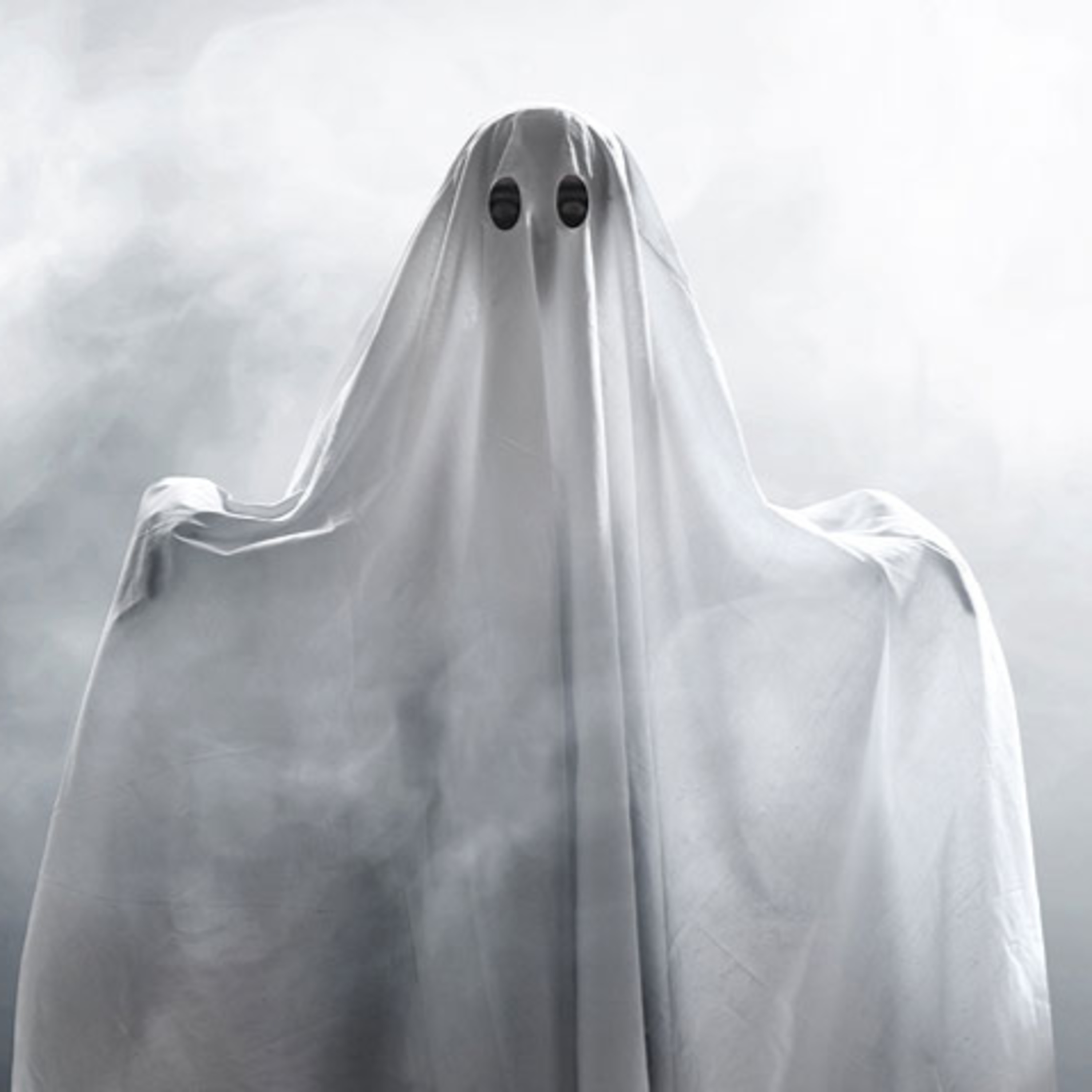 Facts About Ghosts/Pepito episode artwork