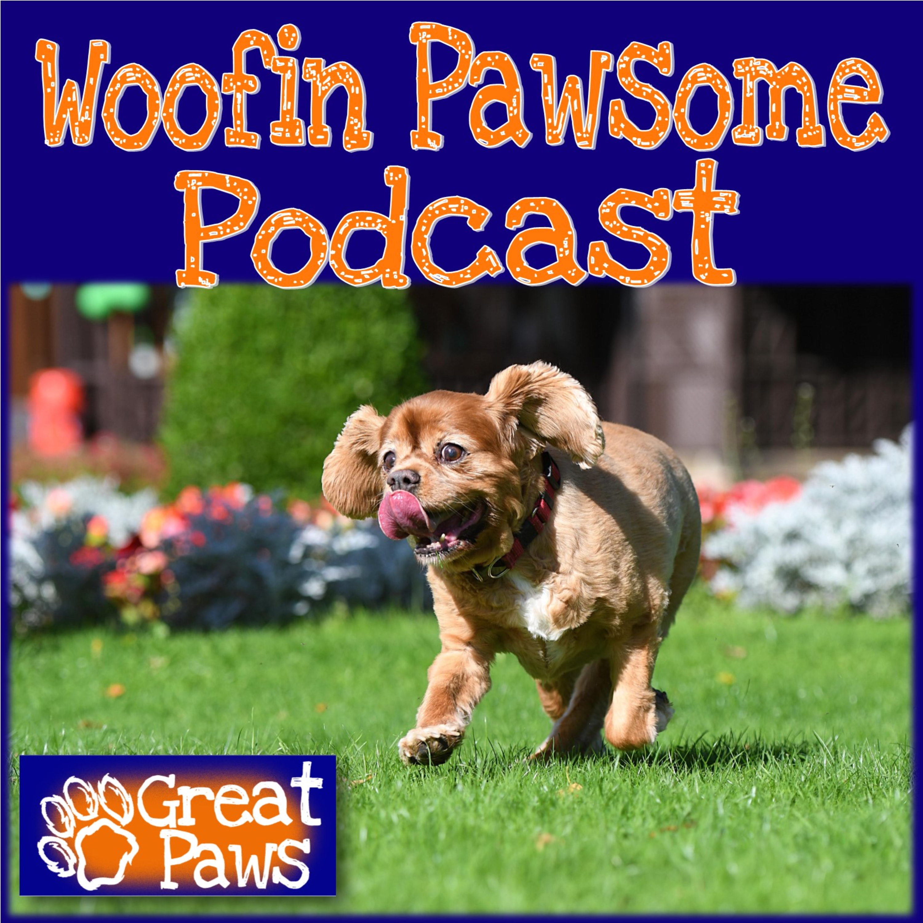 Woofin Pawsome Podcast Trailer episode artwork