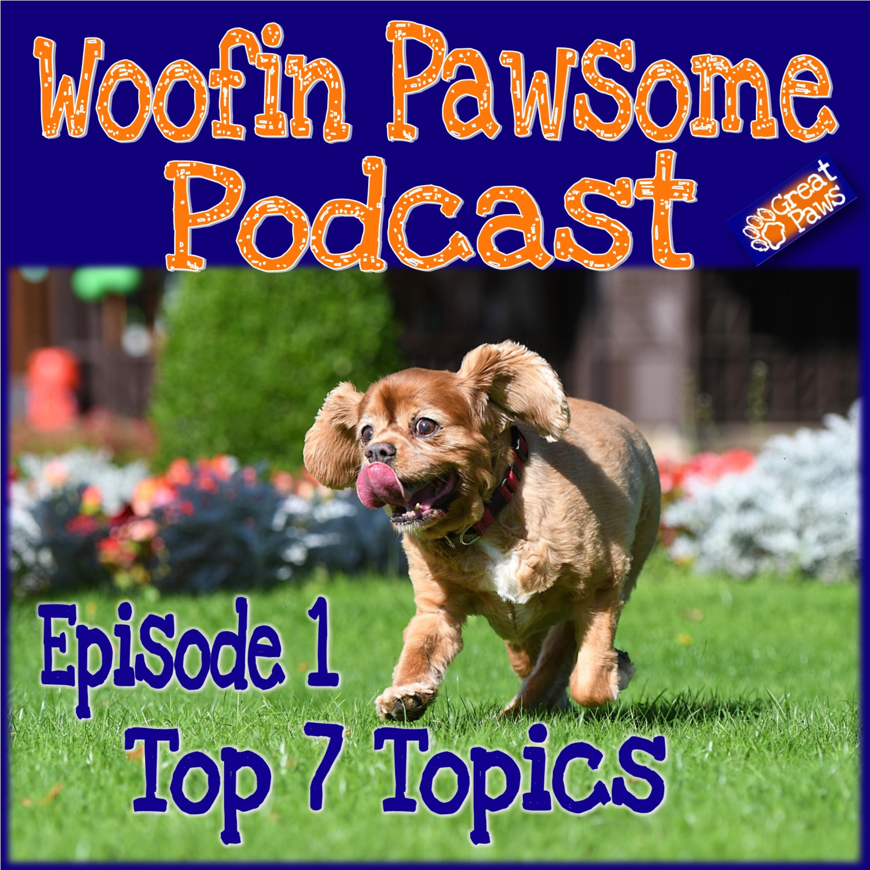 Episode 1 - Top 7 Topics episode artwork