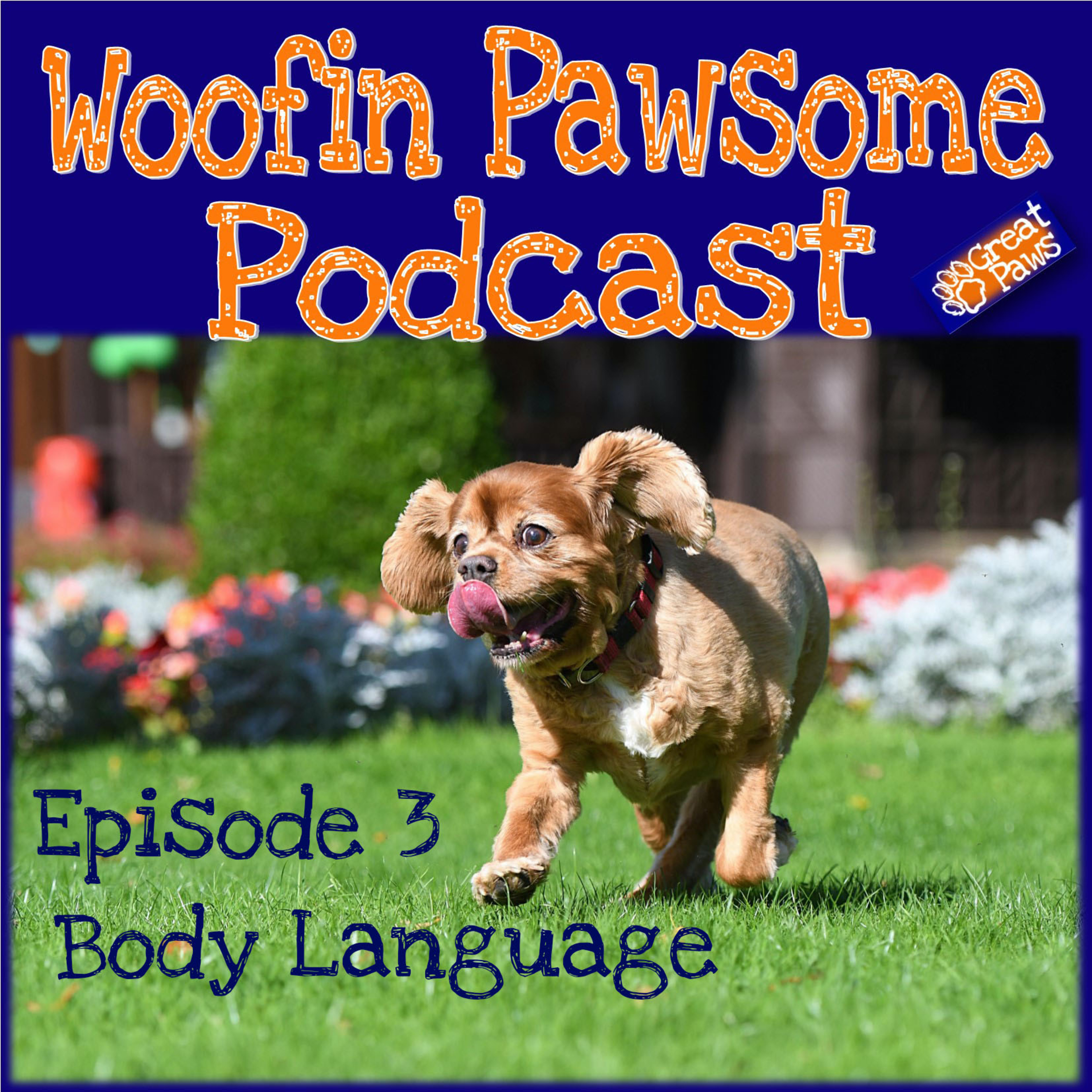 Episode 3 - Body Language, does a wagging tail mean a happy dog? episode artwork