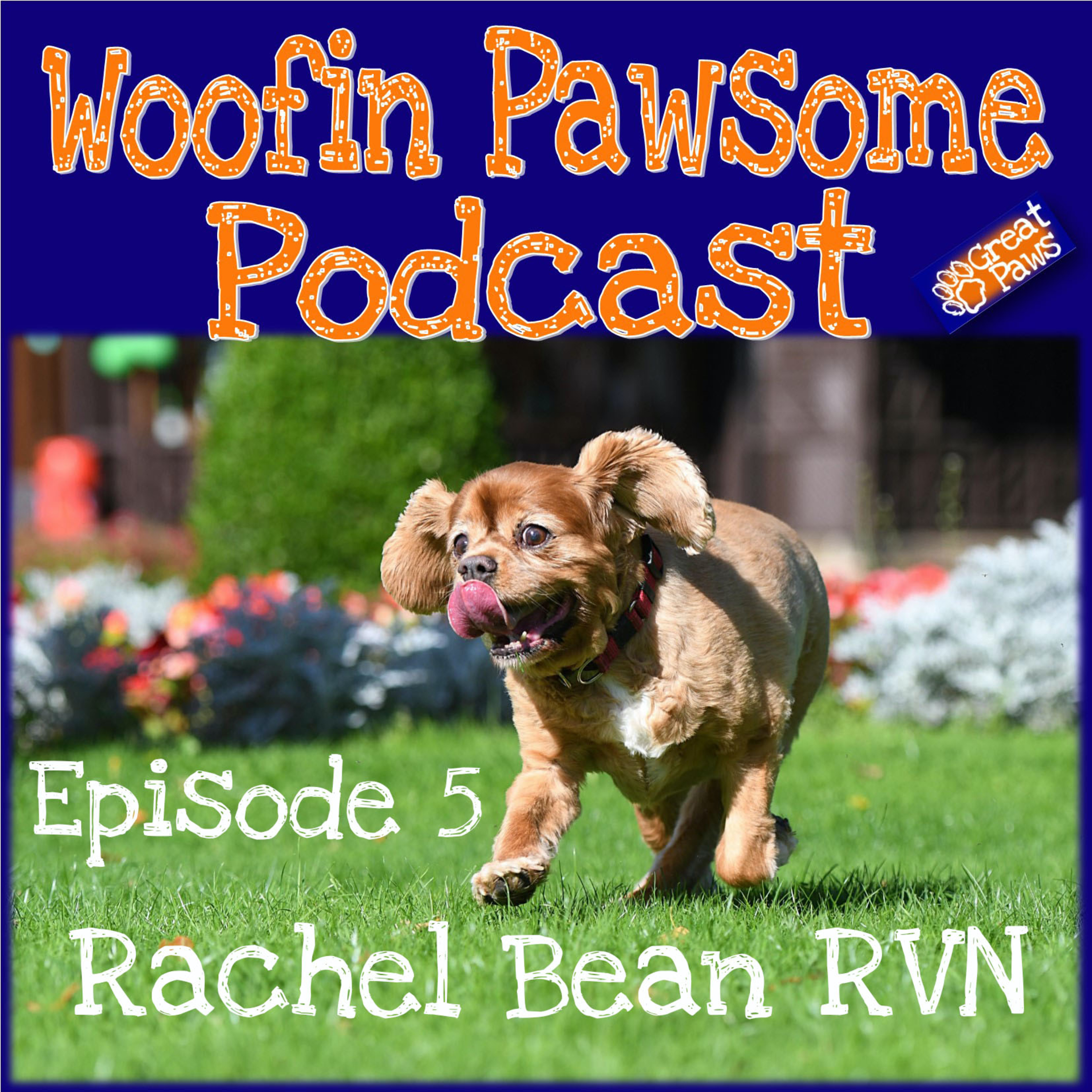 Woofin Pawsome Podcast - The podcast for those who love dogs!