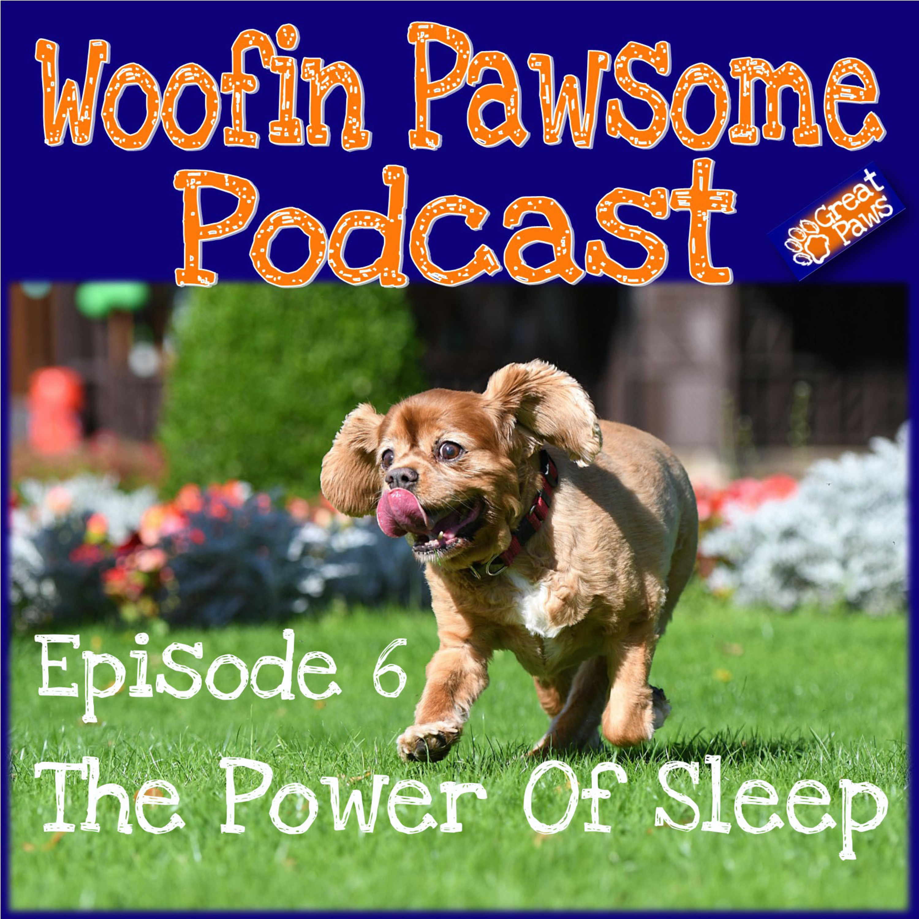 Episode 6 - The Power Of Sleep episode artwork