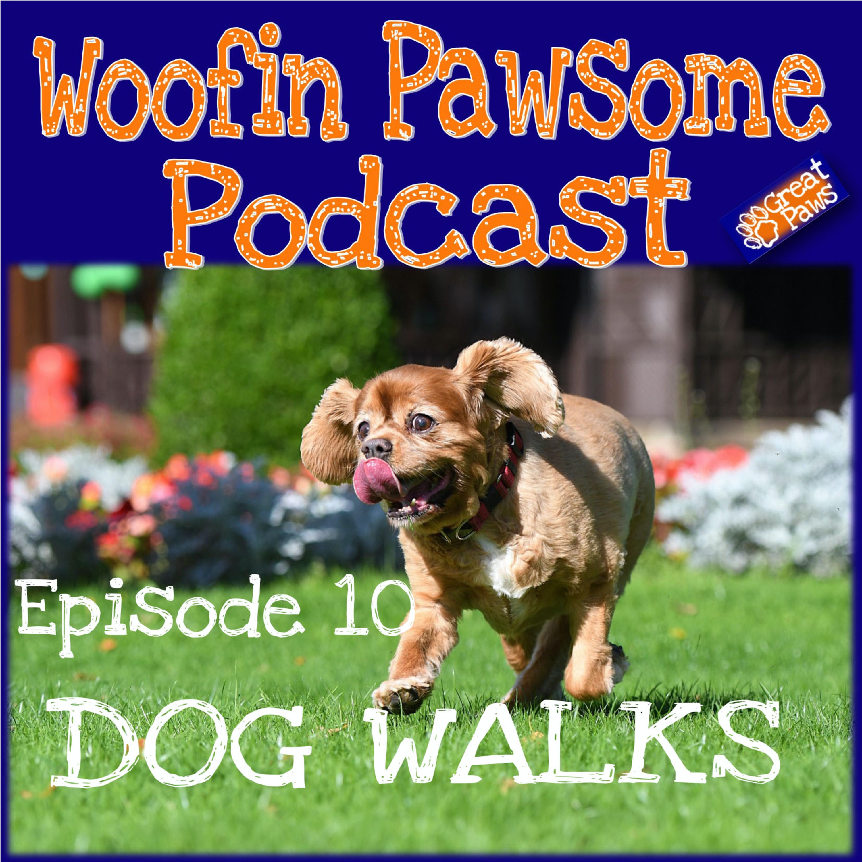 Episode 10 - Dog Walks episode artwork
