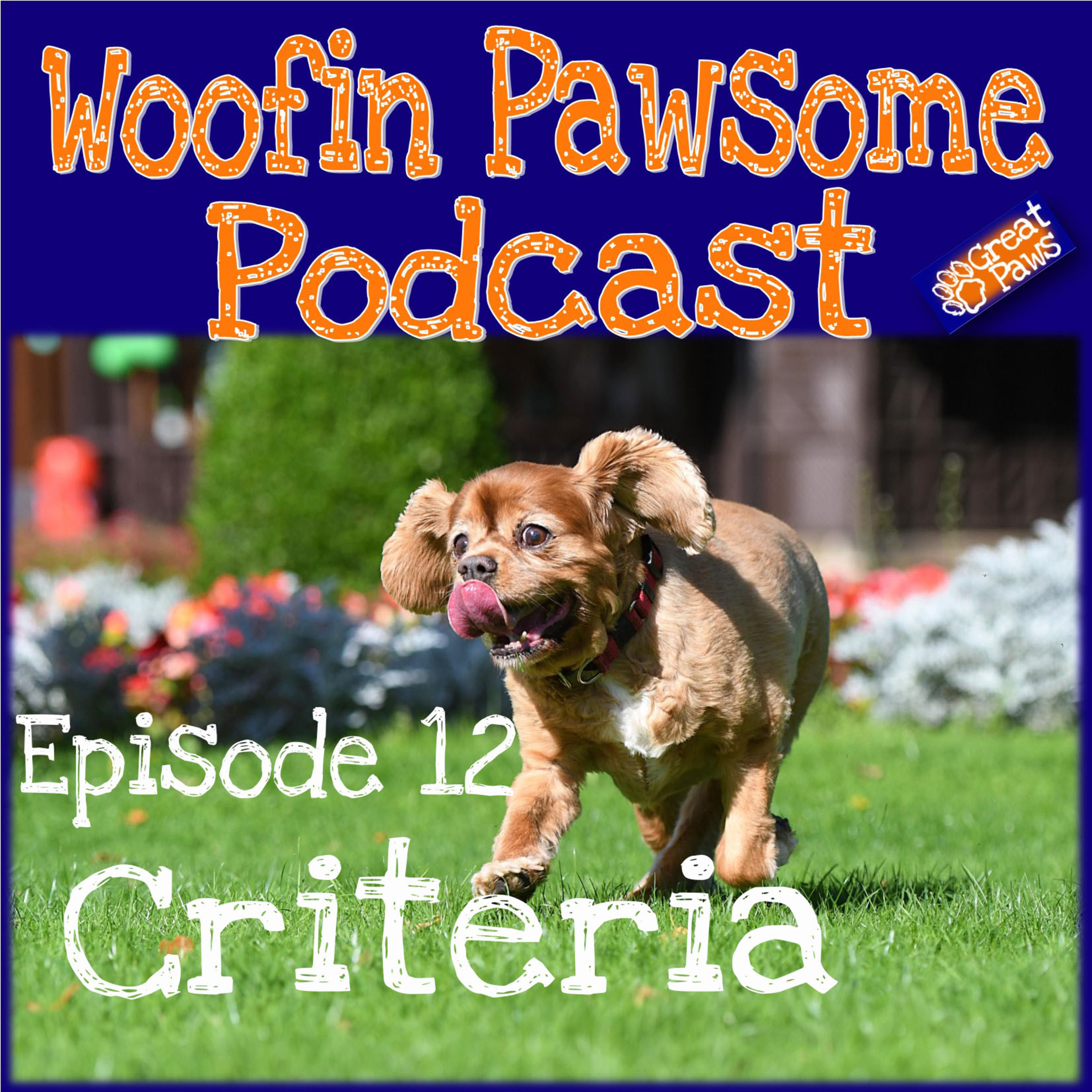Criteria - Episode 12 episode artwork