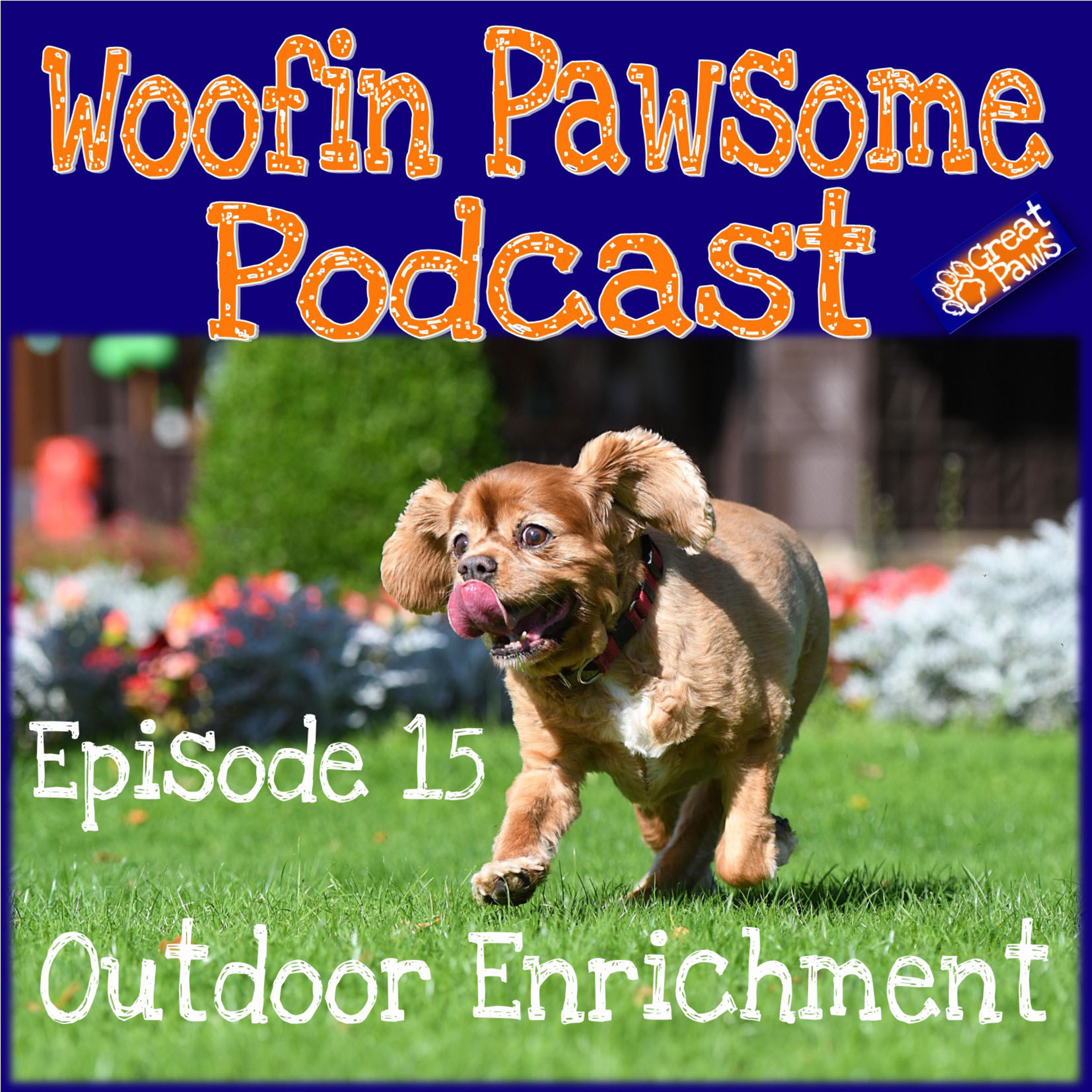 Outdoor Enrichment - Episode 15 episode artwork