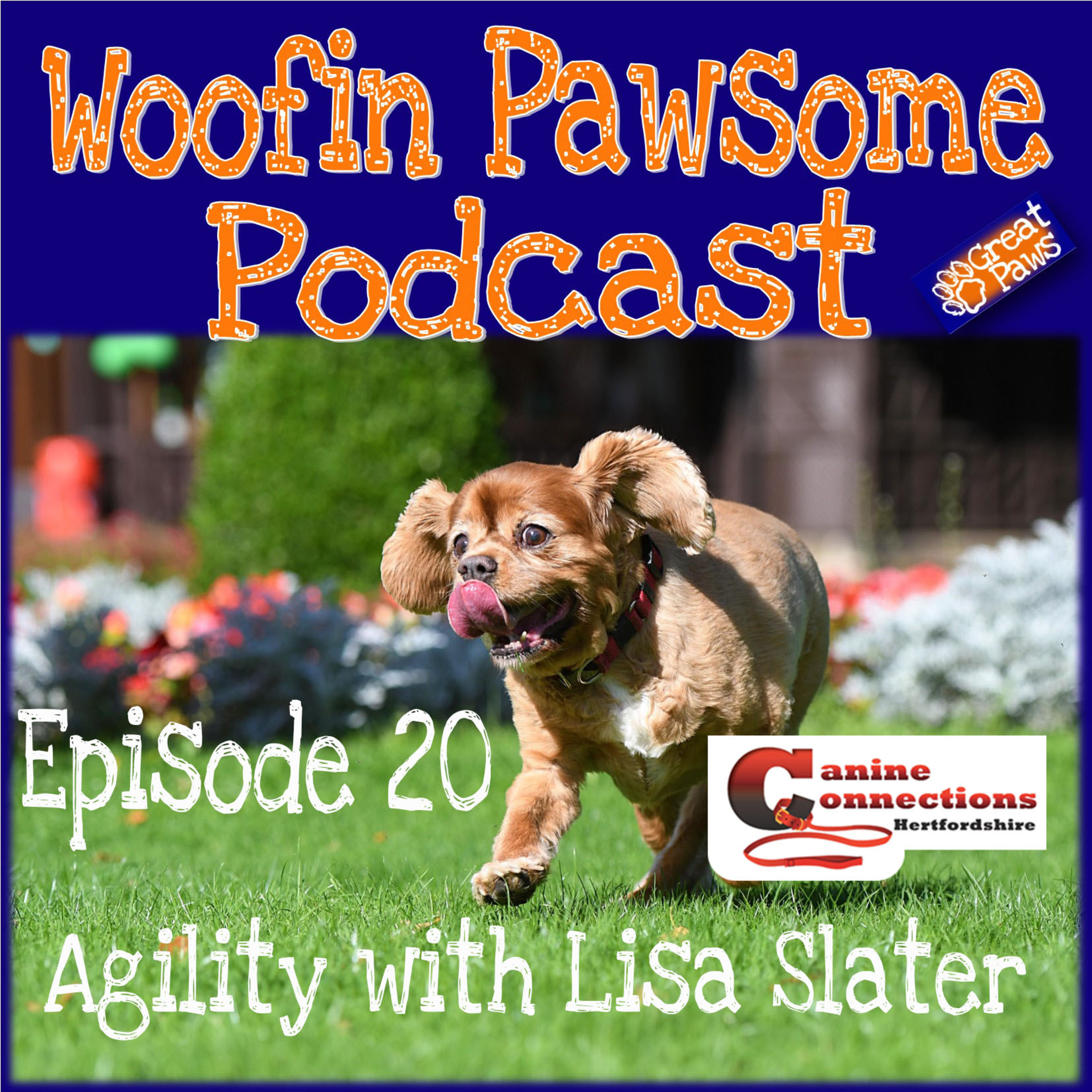 Agility with Lisa Slater - Episode 20 episode artwork