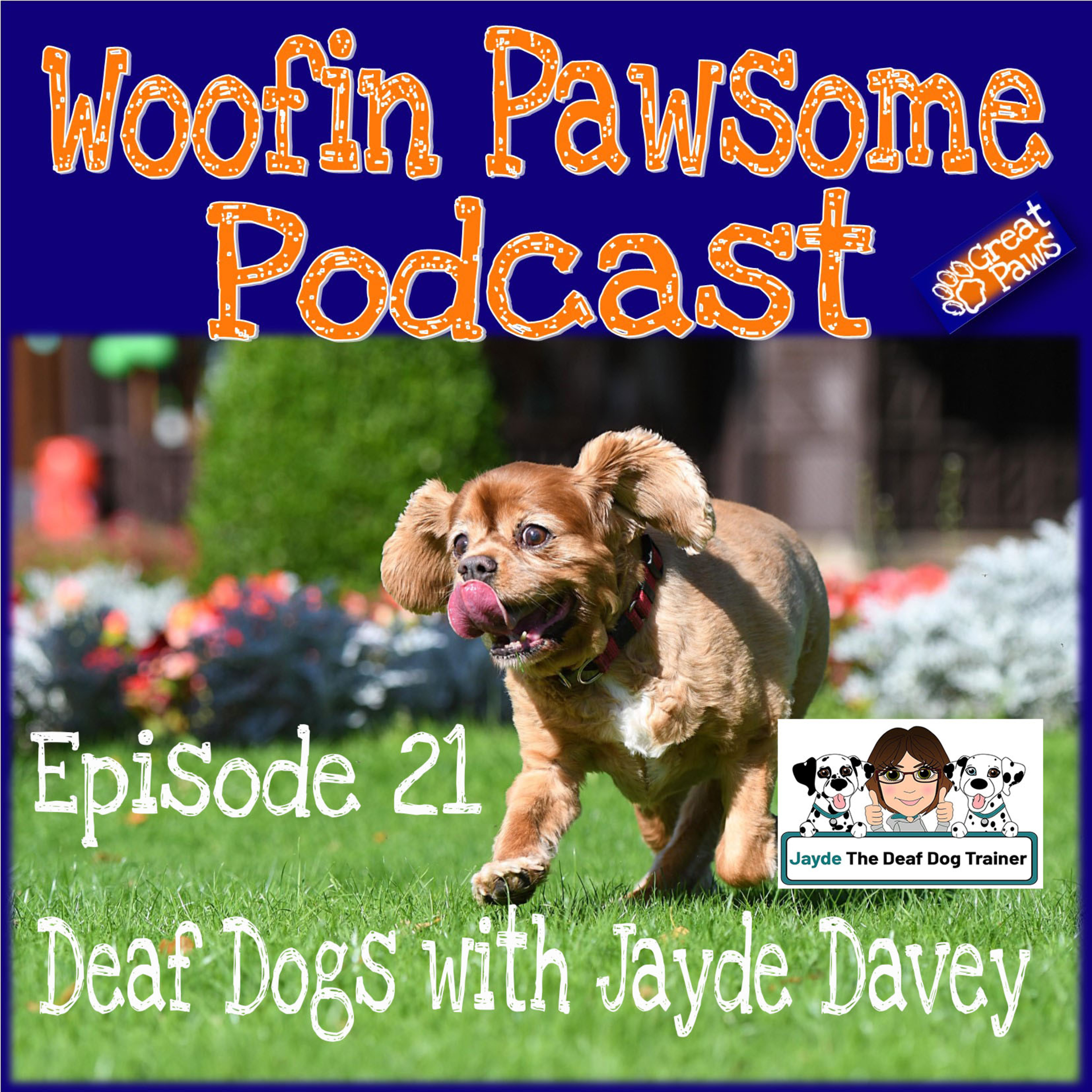 Deaf Dogs With Jayde - Episode 21 episode artwork