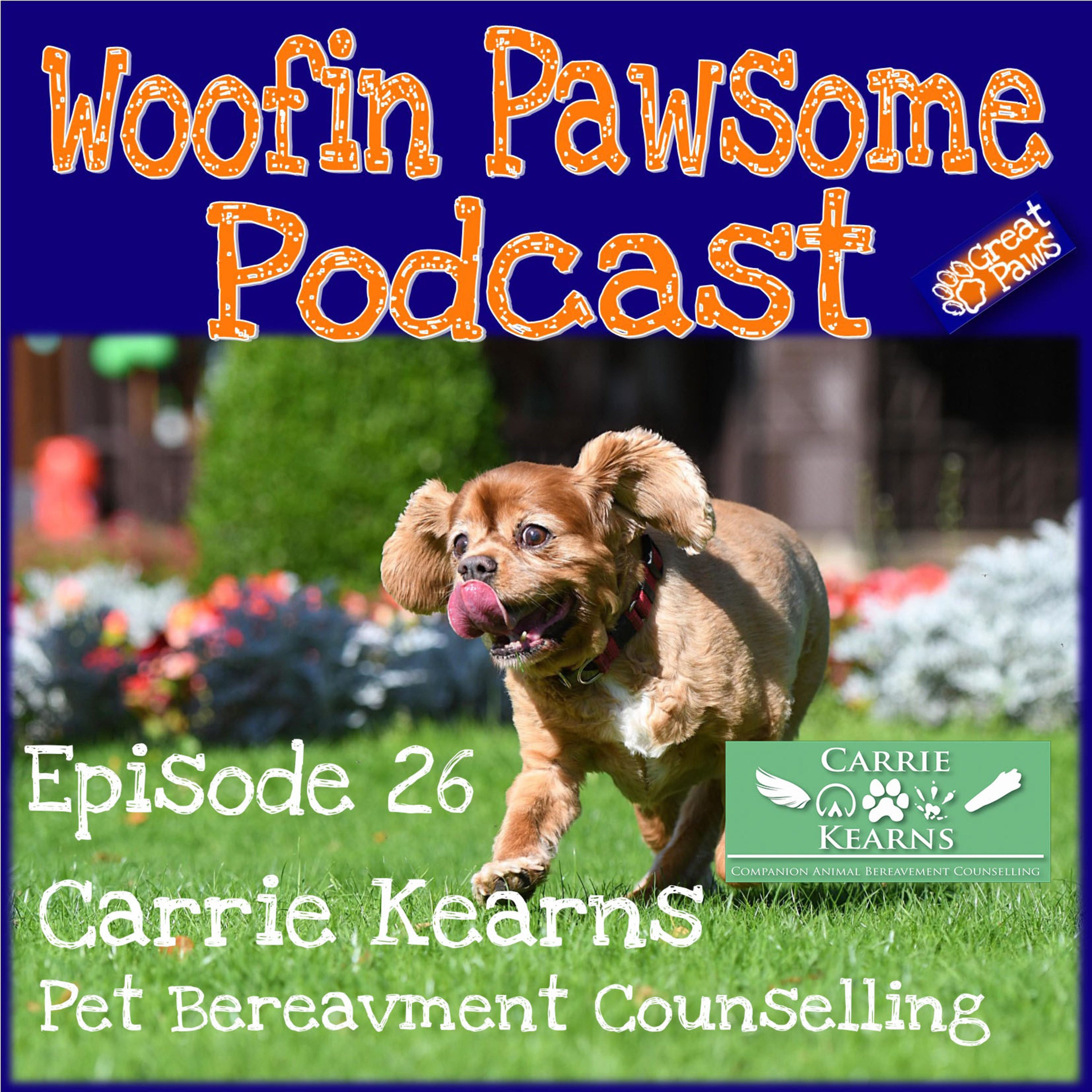 Carrie Kearns Pet Bereavement Counselling - Episode 26 episode artwork