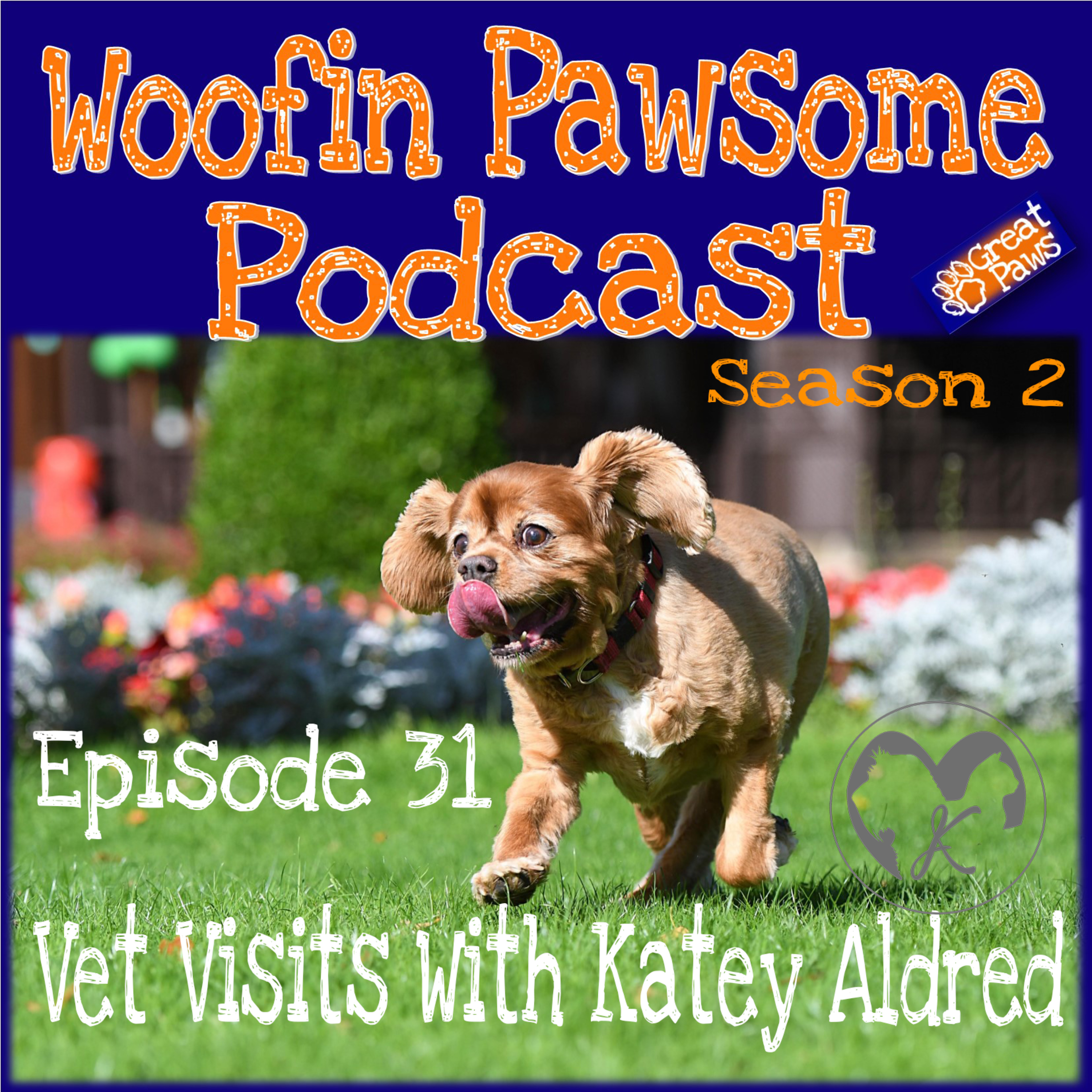 Vet Visits with Katey Aldred - S2 Episode 31 episode artwork