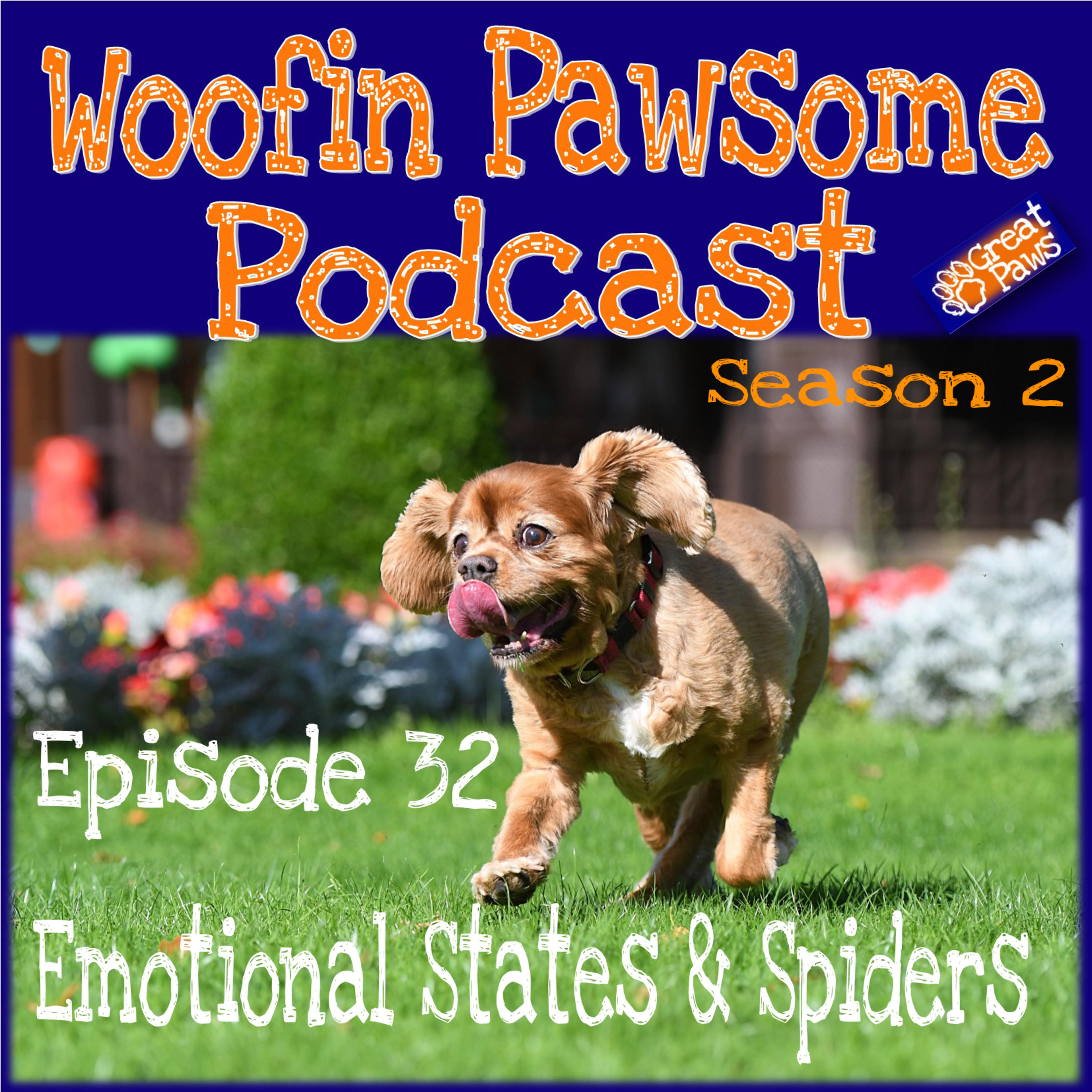 Emotional States & Spiders - Episode 32 (Season 2 Take 2) episode artwork