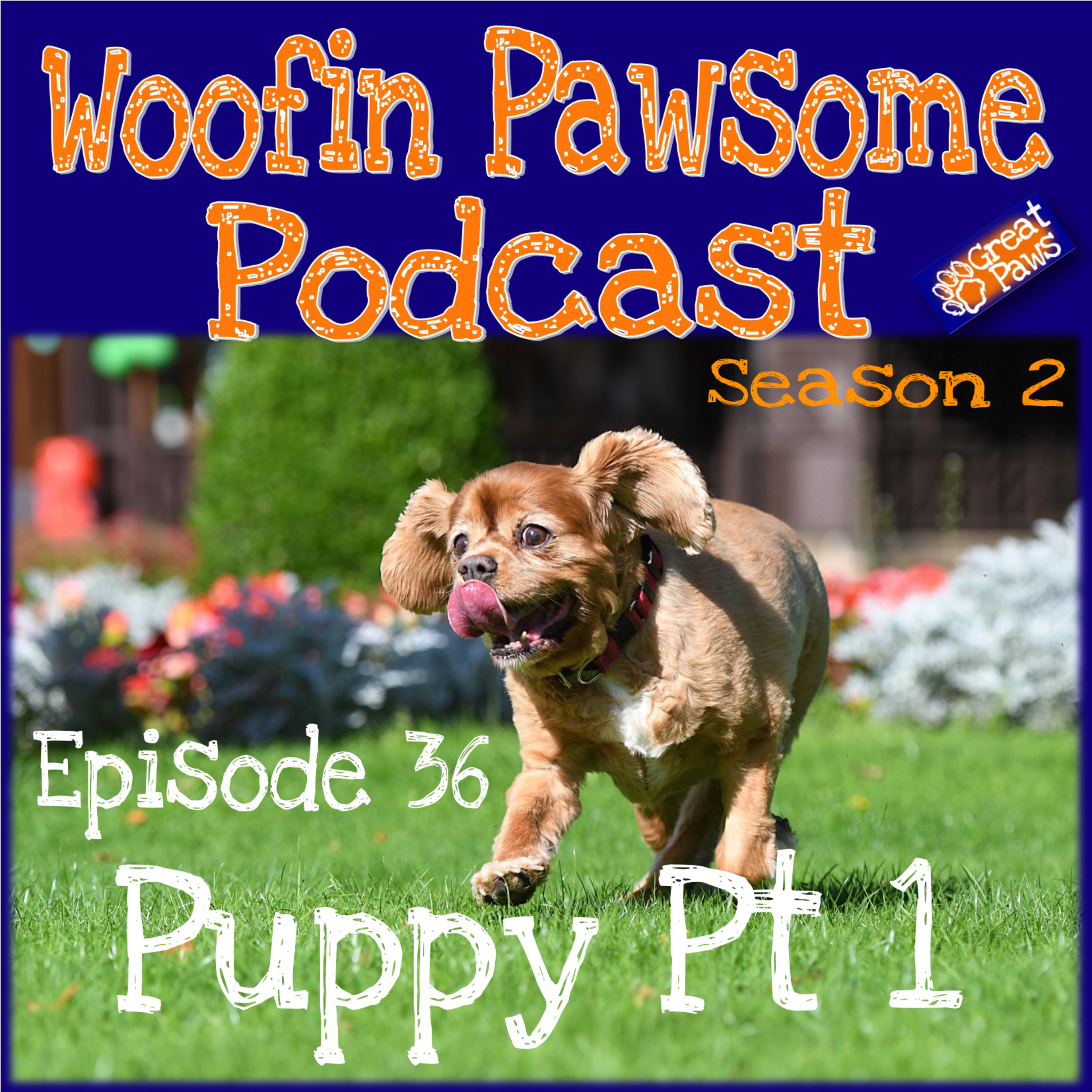 Puppy Pt 1 - Episode 36 episode artwork